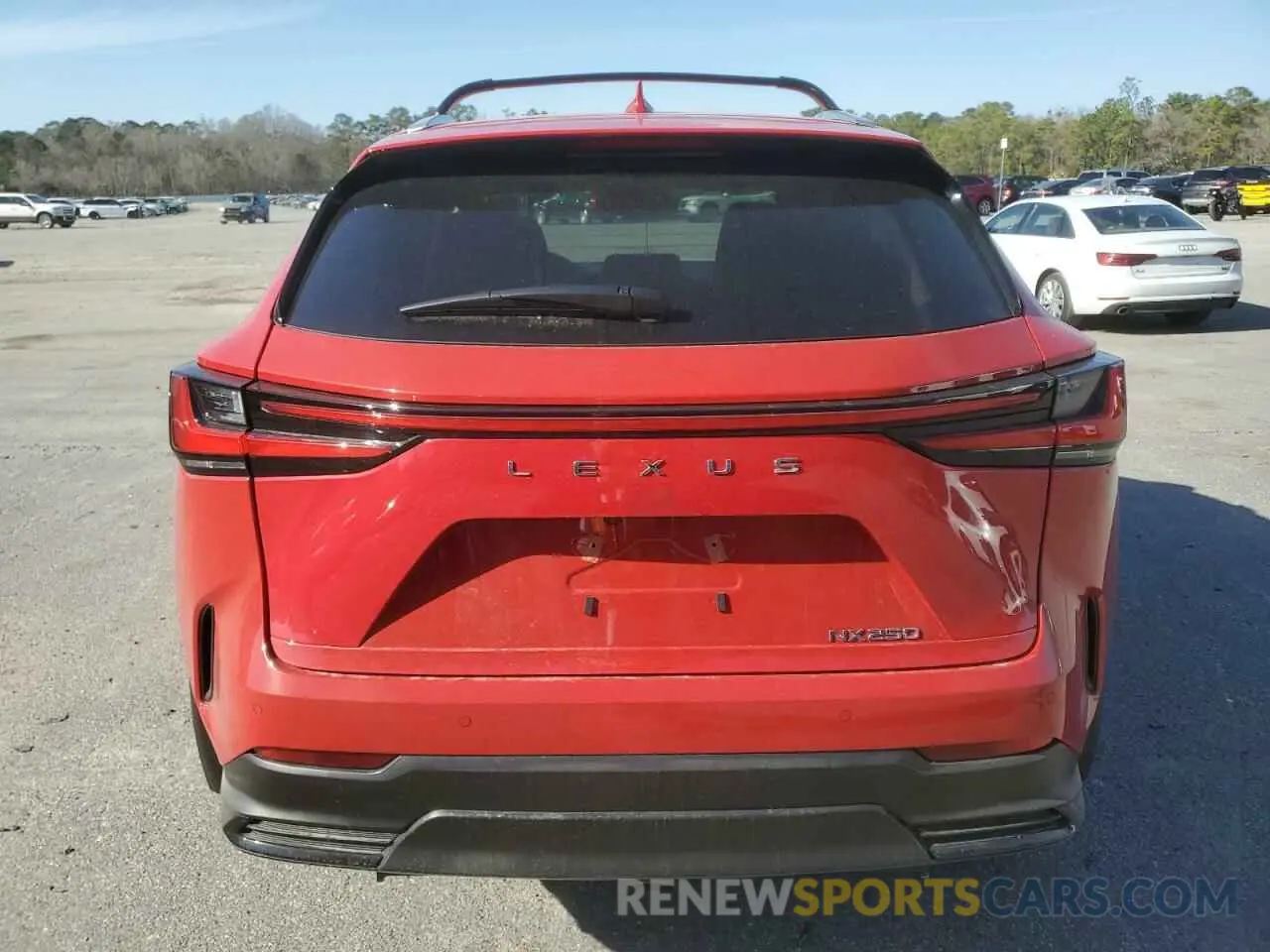 6 Photograph of a damaged car 2T2GDCAZ0SC020433 LEXUS NX 250 PRE 2025