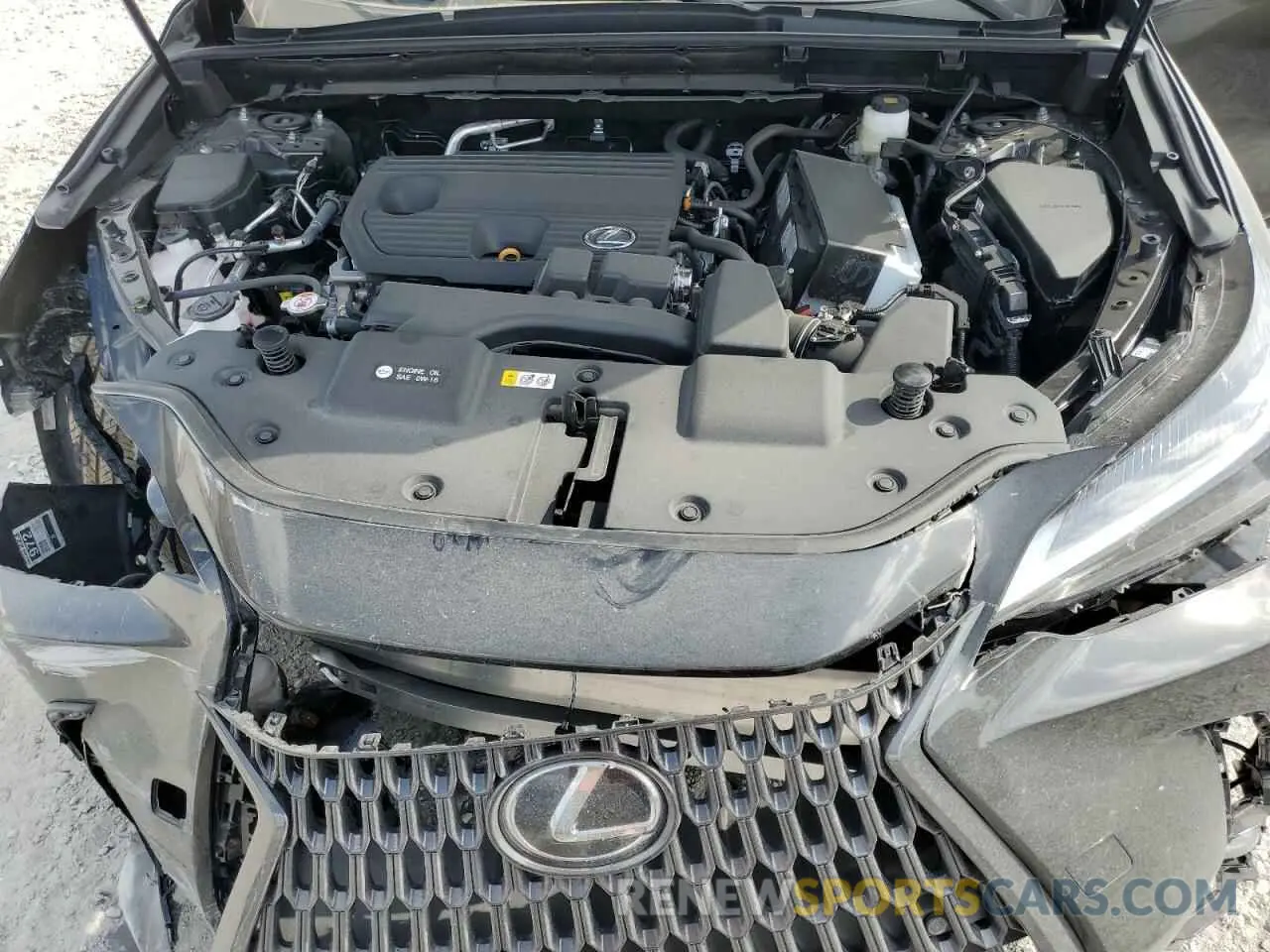 12 Photograph of a damaged car 2T2GDCAZ4SC022704 LEXUS NX 250 PRE 2025