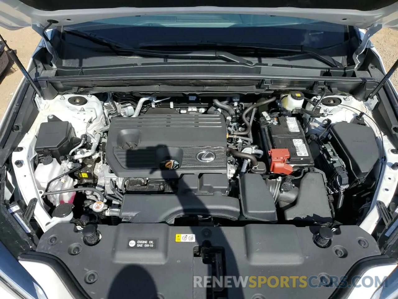12 Photograph of a damaged car 2T2GDCAZ6SC016841 LEXUS NX 250 PRE 2025