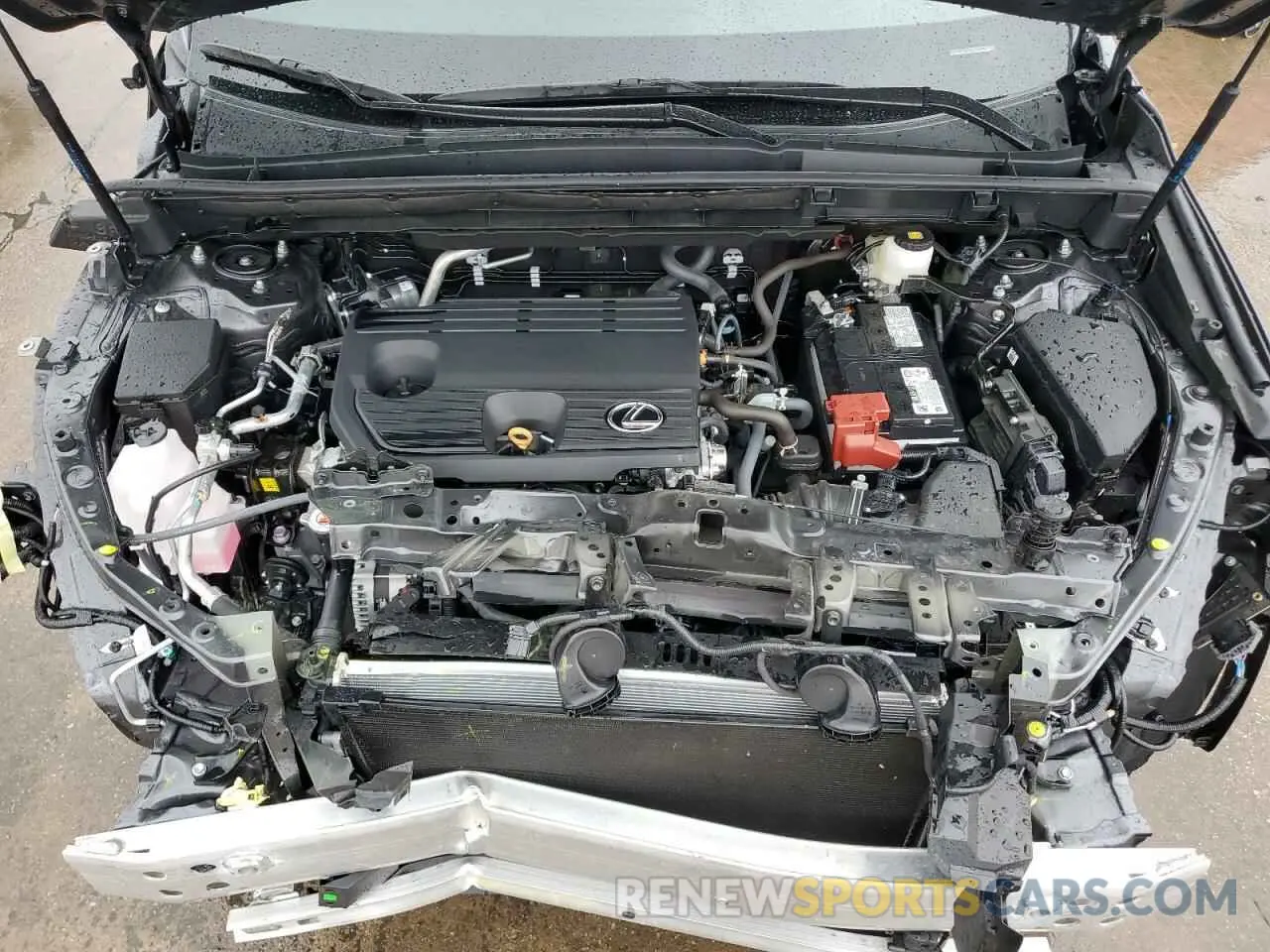 12 Photograph of a damaged car 2T2GDCAZ7SC017268 LEXUS NX 250 PRE 2025