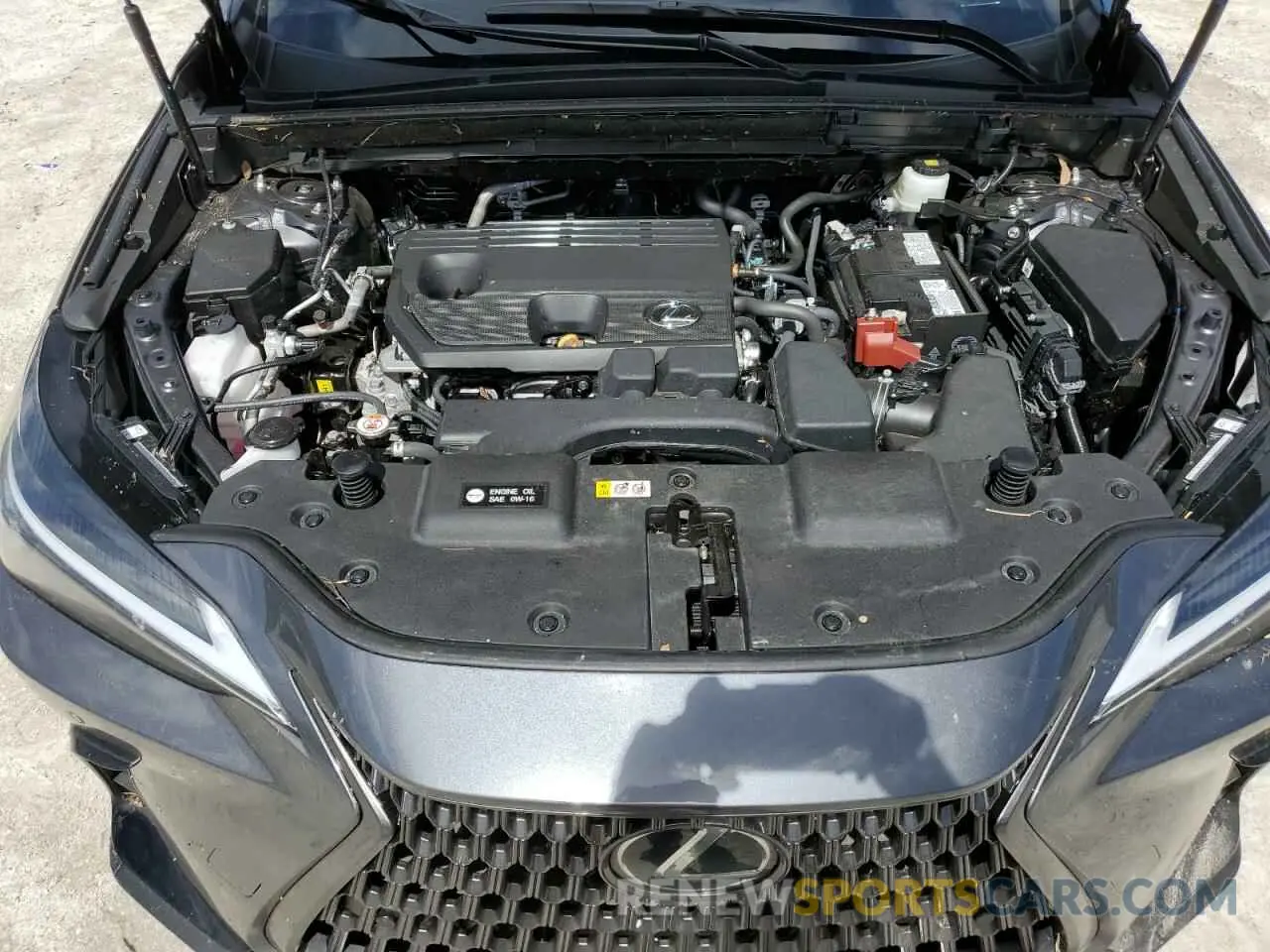 12 Photograph of a damaged car 2T2GDCAZXSC016387 LEXUS NX 250 PRE 2025