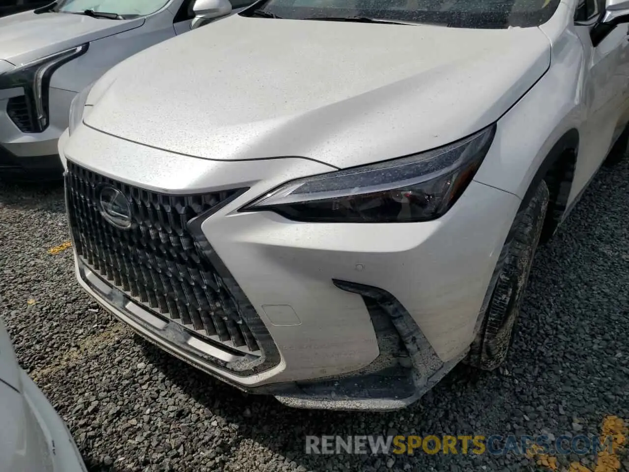 10 Photograph of a damaged car 2T2GDCAZXSC020763 LEXUS NX 250 PRE 2025