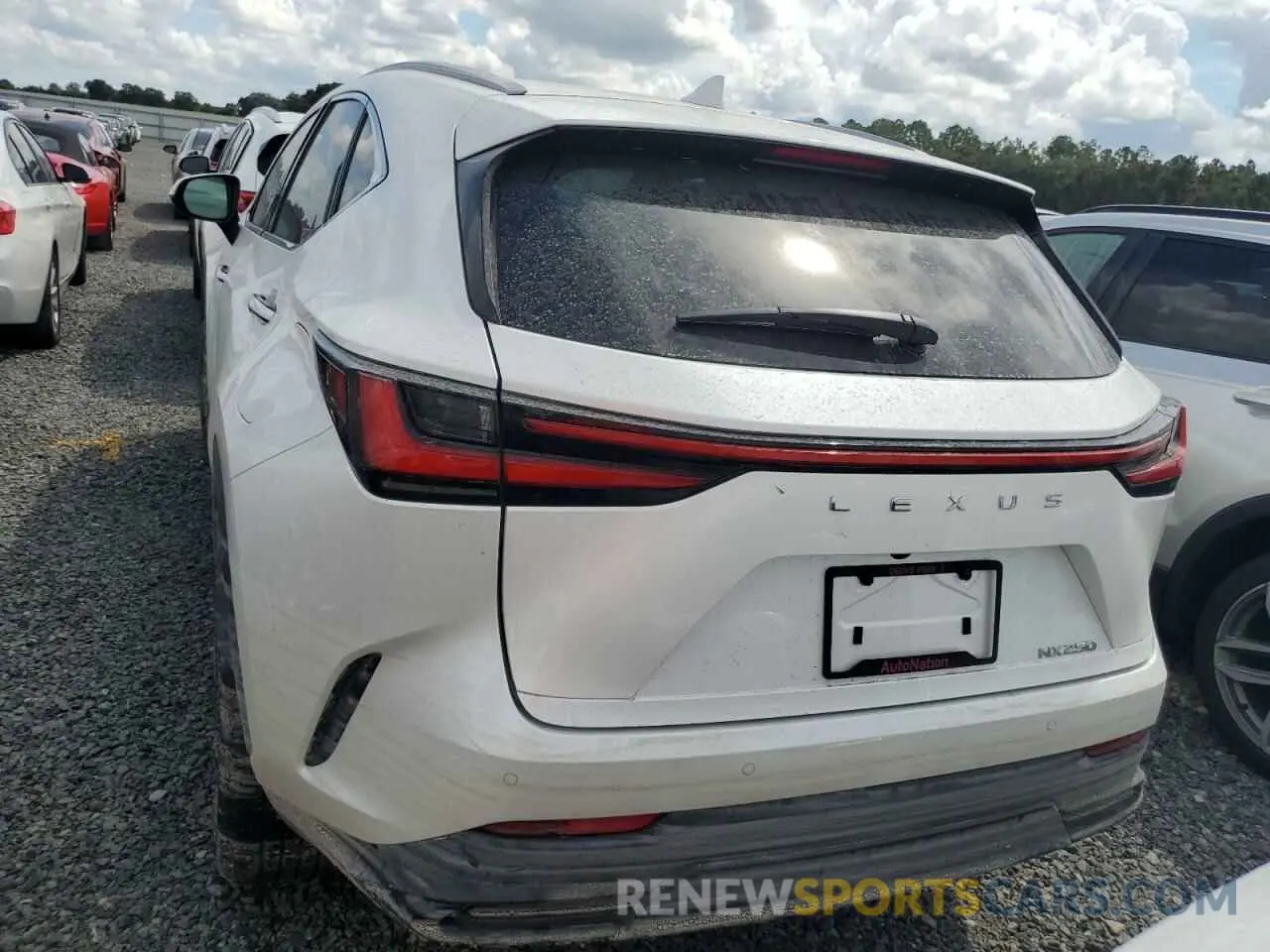6 Photograph of a damaged car 2T2GDCAZXSC020763 LEXUS NX 250 PRE 2025
