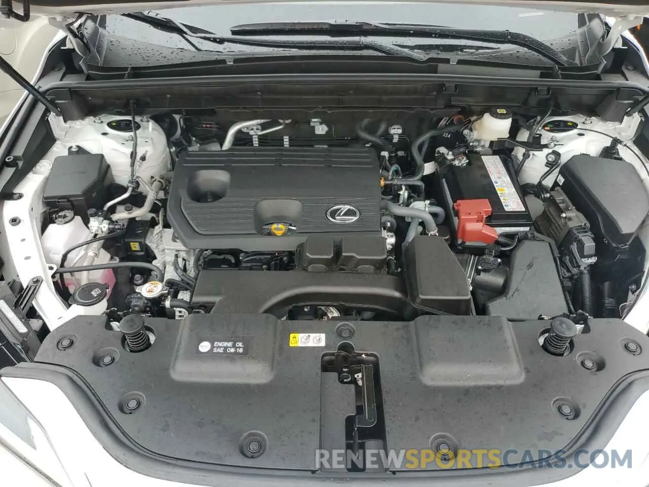 12 Photograph of a damaged car JTJGDCAZ1S5023856 LEXUS NX 250 PRE 2025