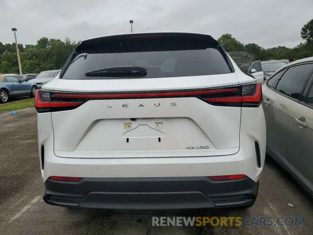 6 Photograph of a damaged car JTJGDCAZ1S5023856 LEXUS NX 250 PRE 2025