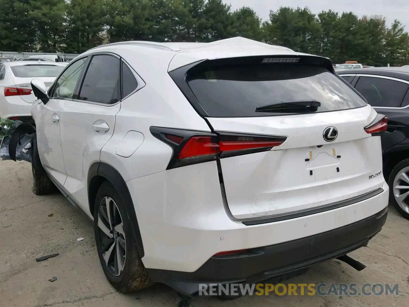 3 Photograph of a damaged car JTJBARBZ0K2179621 LEXUS NX 300 2019