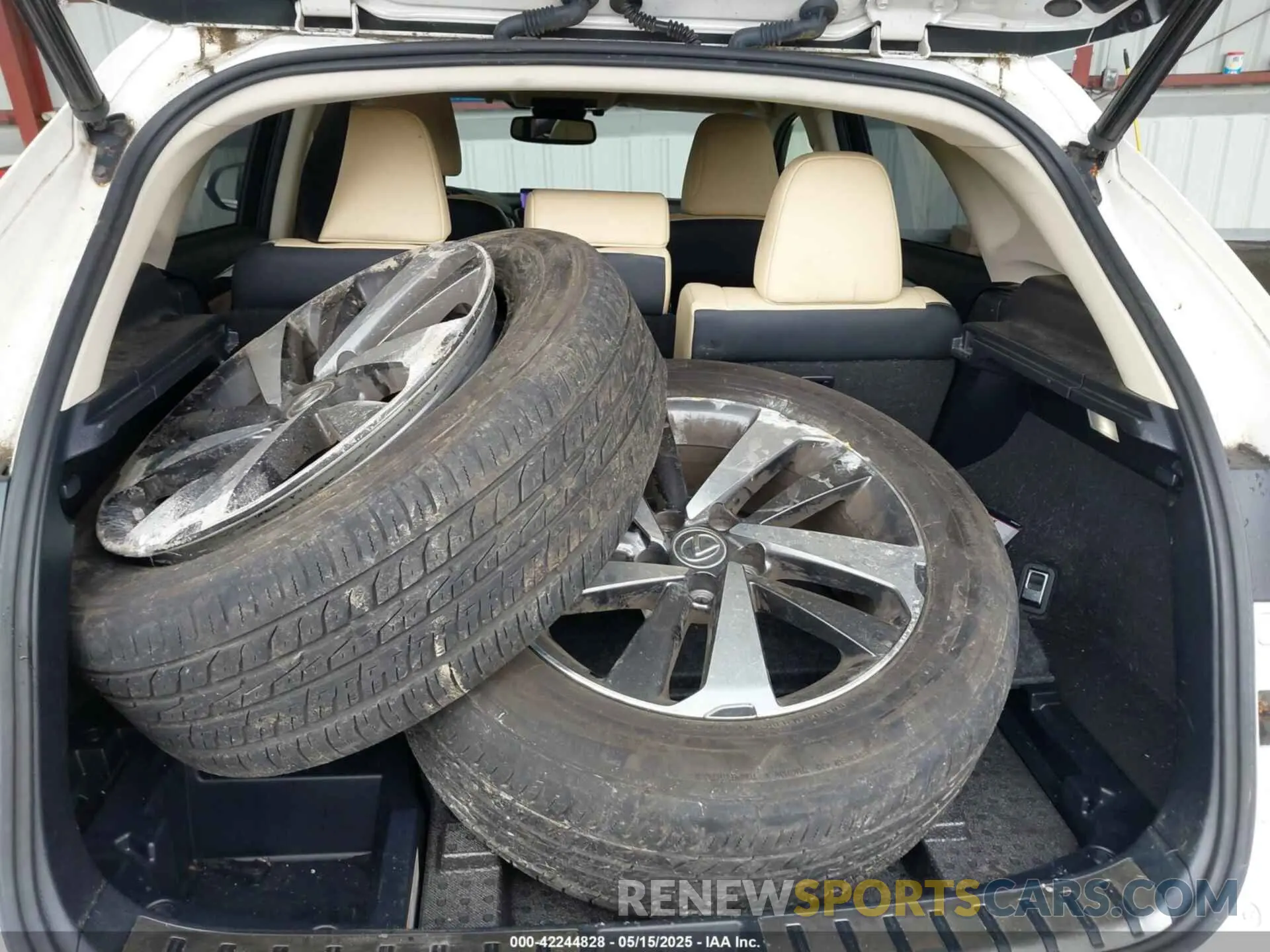 12 Photograph of a damaged car JTJBARBZ2K2183055 LEXUS NX 300 2019