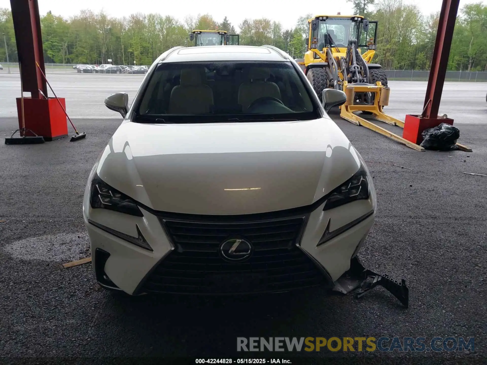 13 Photograph of a damaged car JTJBARBZ2K2183055 LEXUS NX 300 2019