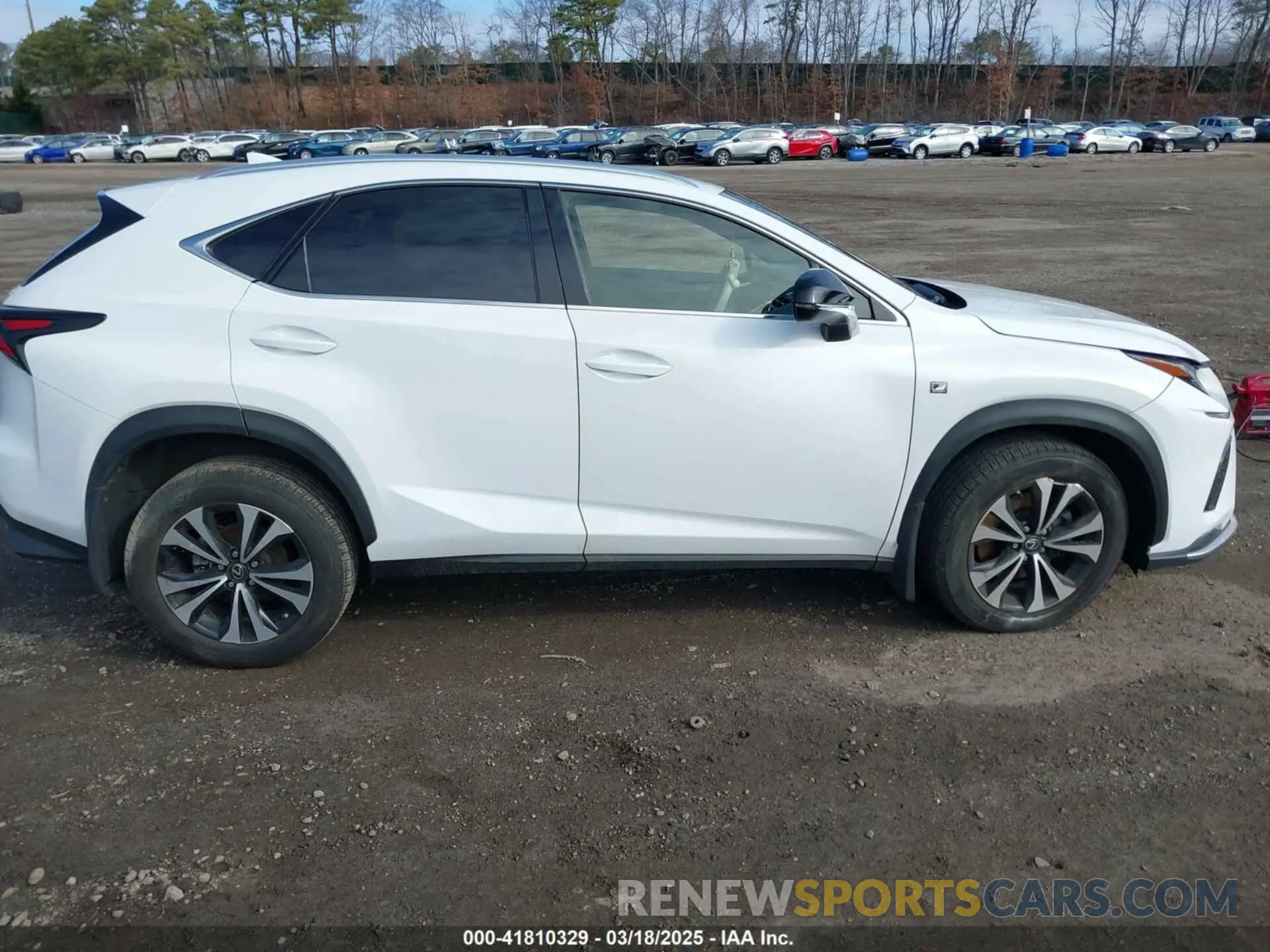 13 Photograph of a damaged car JTJBARBZ3K2193240 LEXUS NX 300 2019