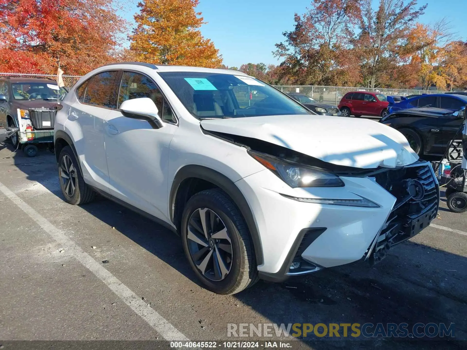 1 Photograph of a damaged car JTJBARBZ5K2194227 LEXUS NX 300 2019