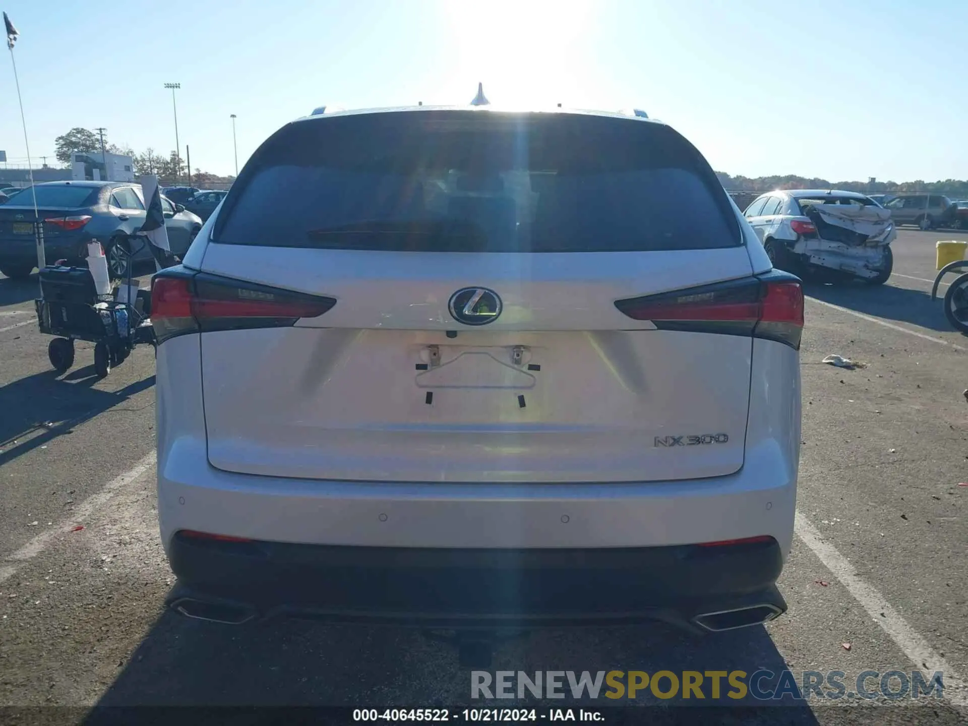 16 Photograph of a damaged car JTJBARBZ5K2194227 LEXUS NX 300 2019