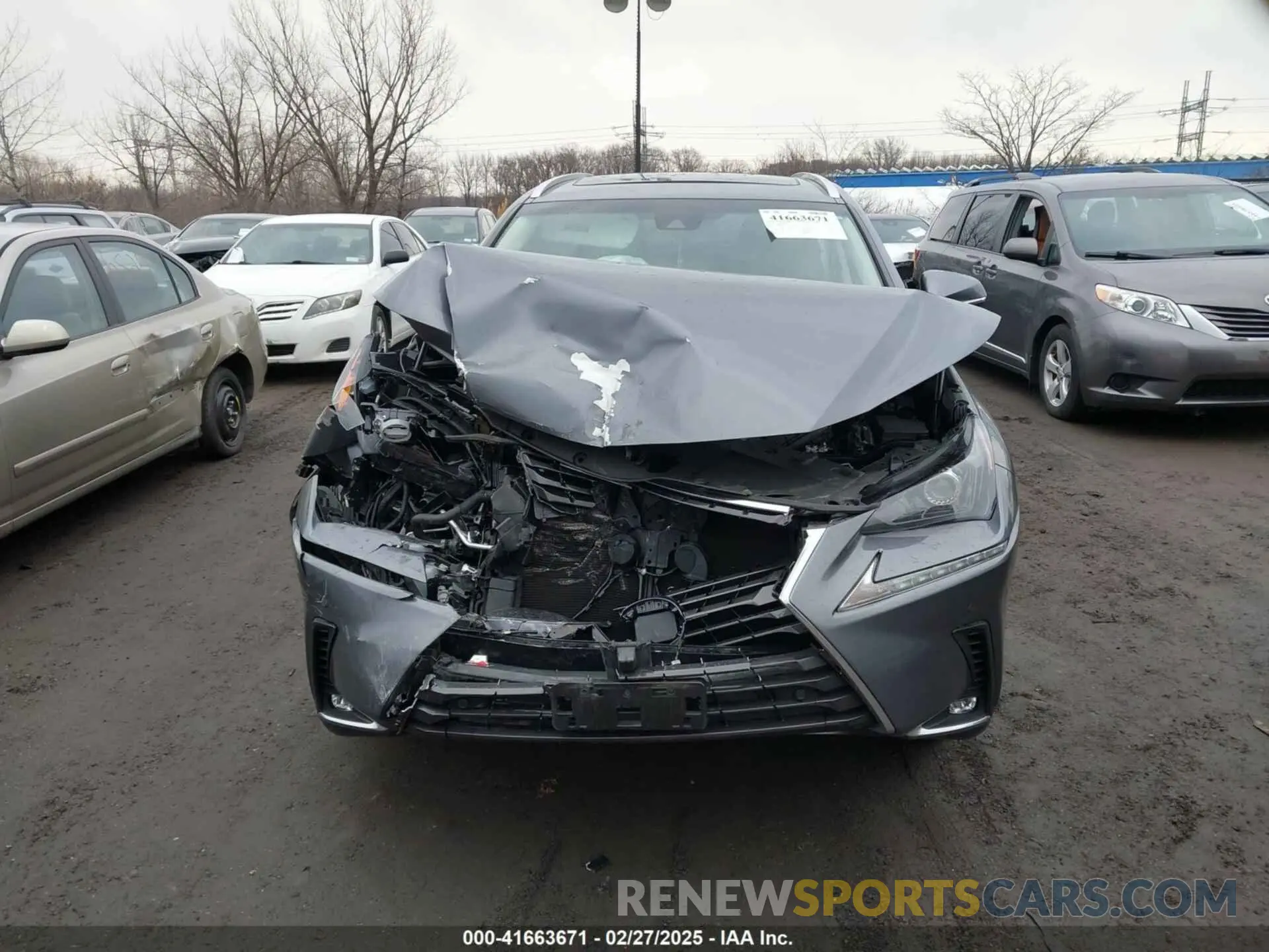 12 Photograph of a damaged car JTJBARBZ6K2217112 LEXUS NX 300 2019