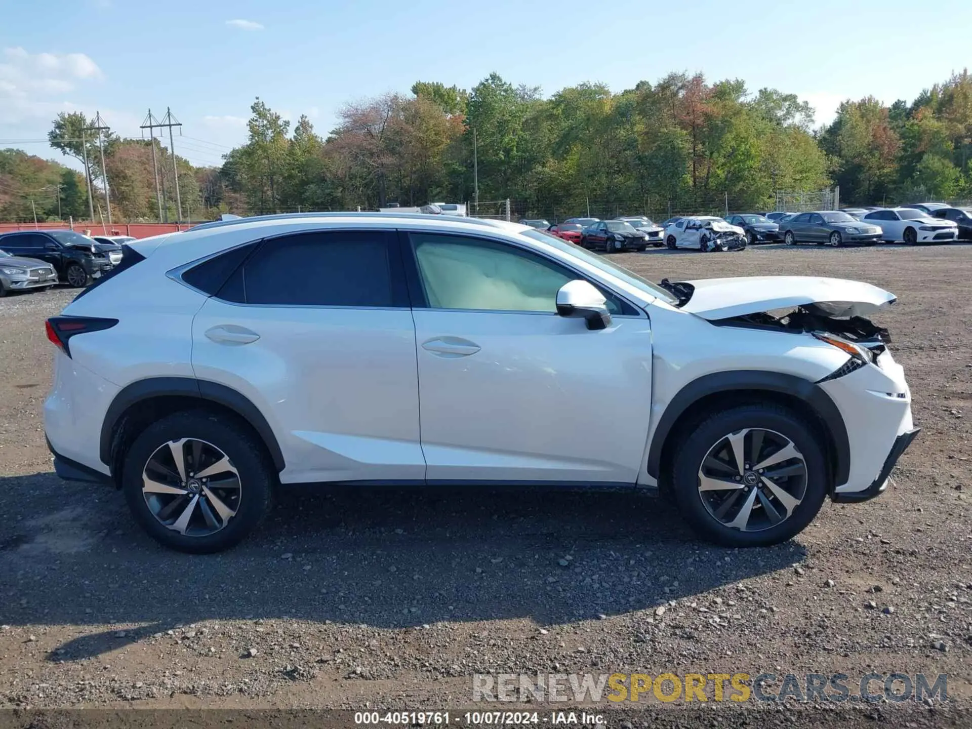 13 Photograph of a damaged car JTJBARBZ8K2213501 LEXUS NX 300 2019