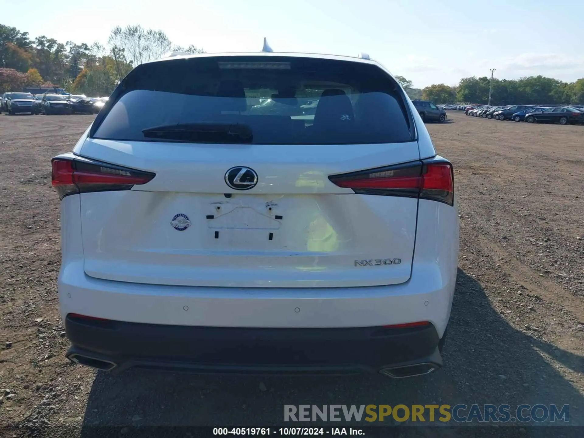 16 Photograph of a damaged car JTJBARBZ8K2213501 LEXUS NX 300 2019