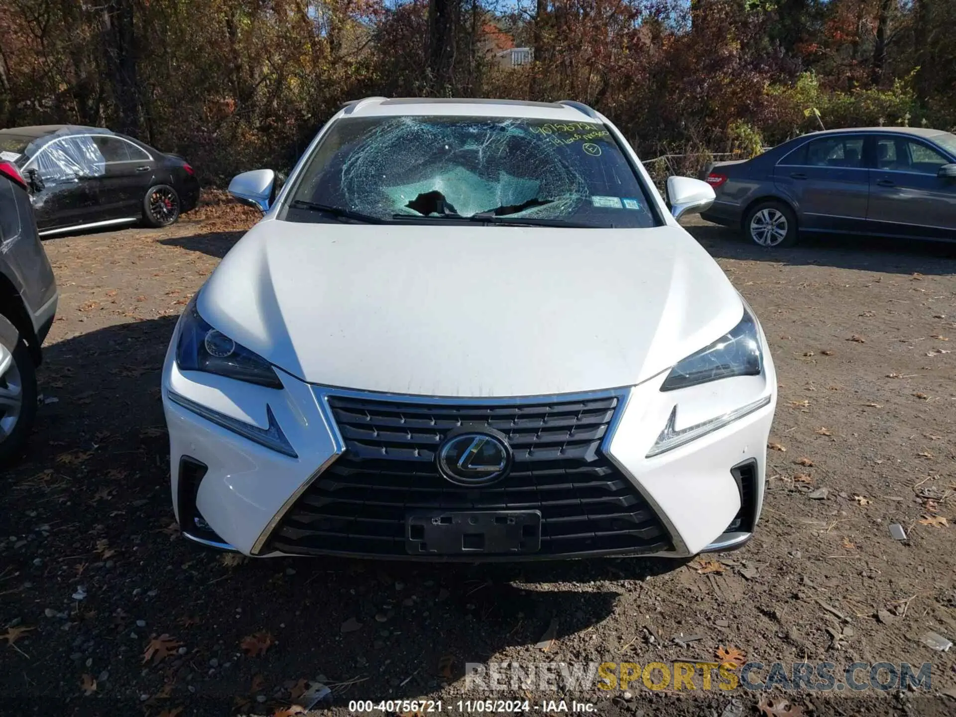 12 Photograph of a damaged car JTJBARBZ9K2199821 LEXUS NX 300 2019