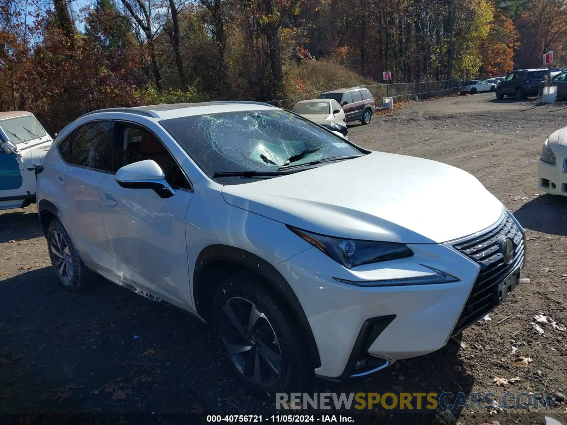13 Photograph of a damaged car JTJBARBZ9K2199821 LEXUS NX 300 2019