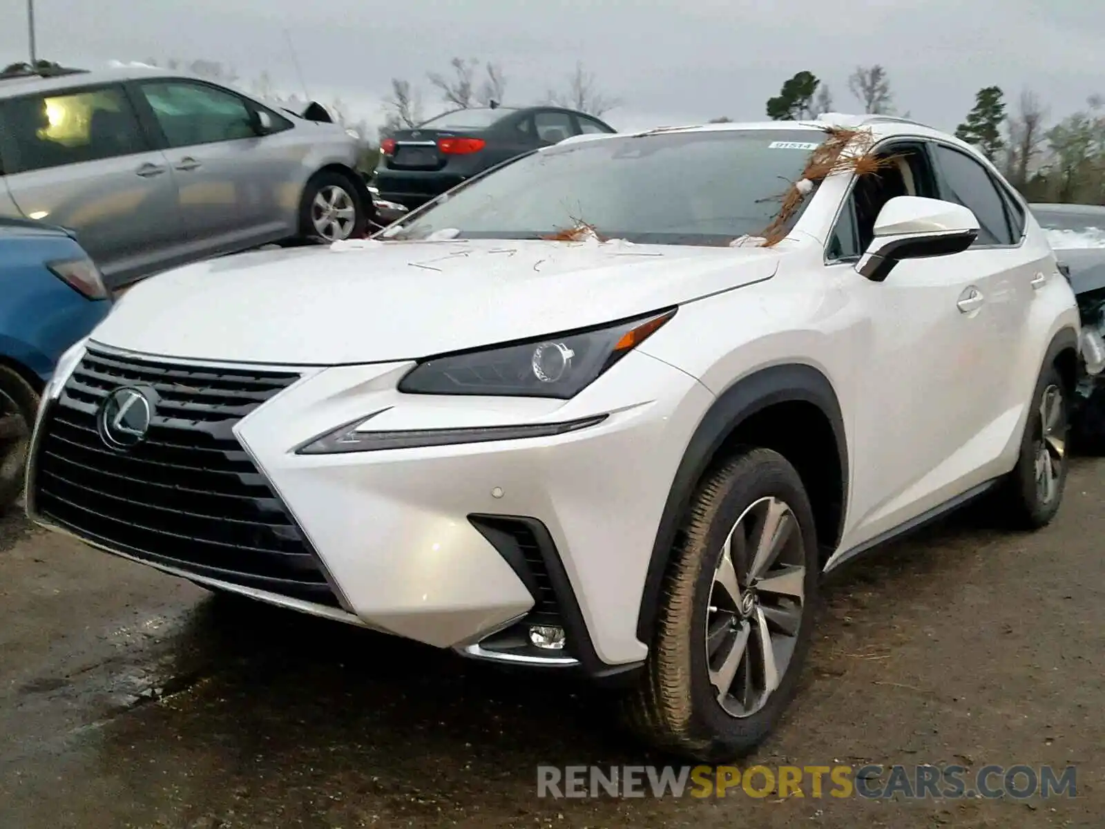 2 Photograph of a damaged car JTJYARBZ0K2128548 LEXUS NX 300 2019