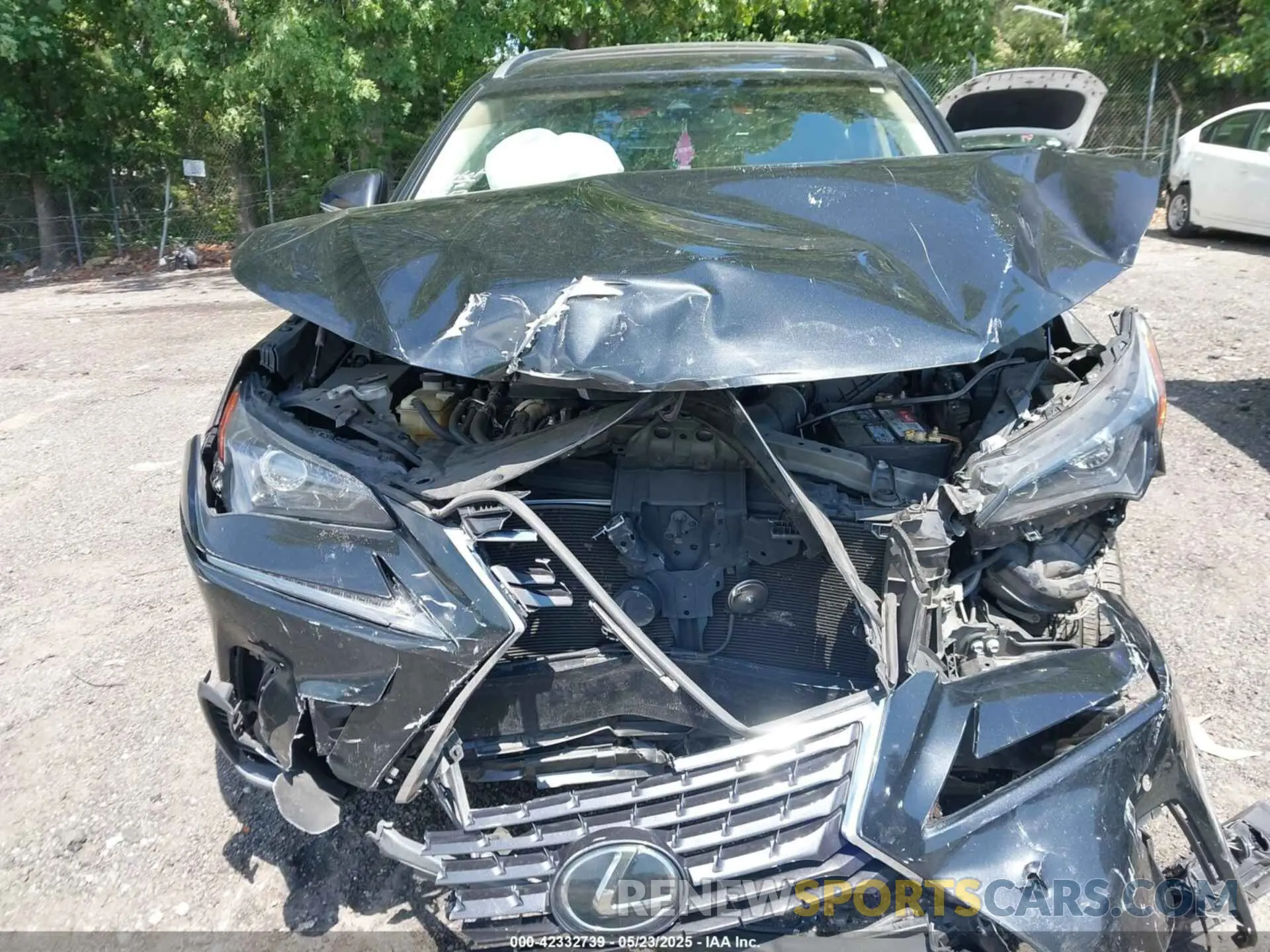 12 Photograph of a damaged car JTJYARBZ4K2124003 LEXUS NX 300 2019