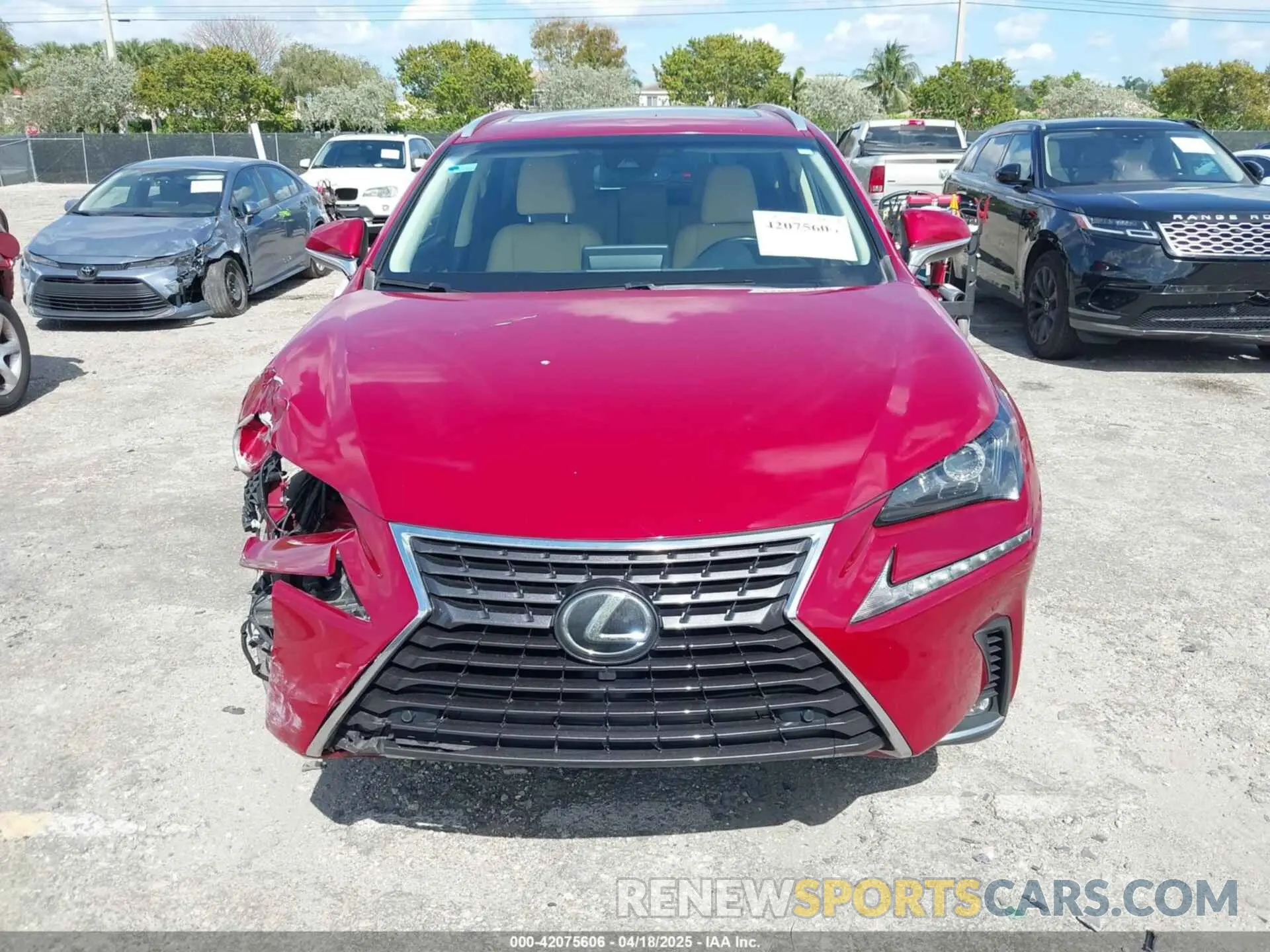 13 Photograph of a damaged car JTJYARBZ5K2128089 LEXUS NX 300 2019