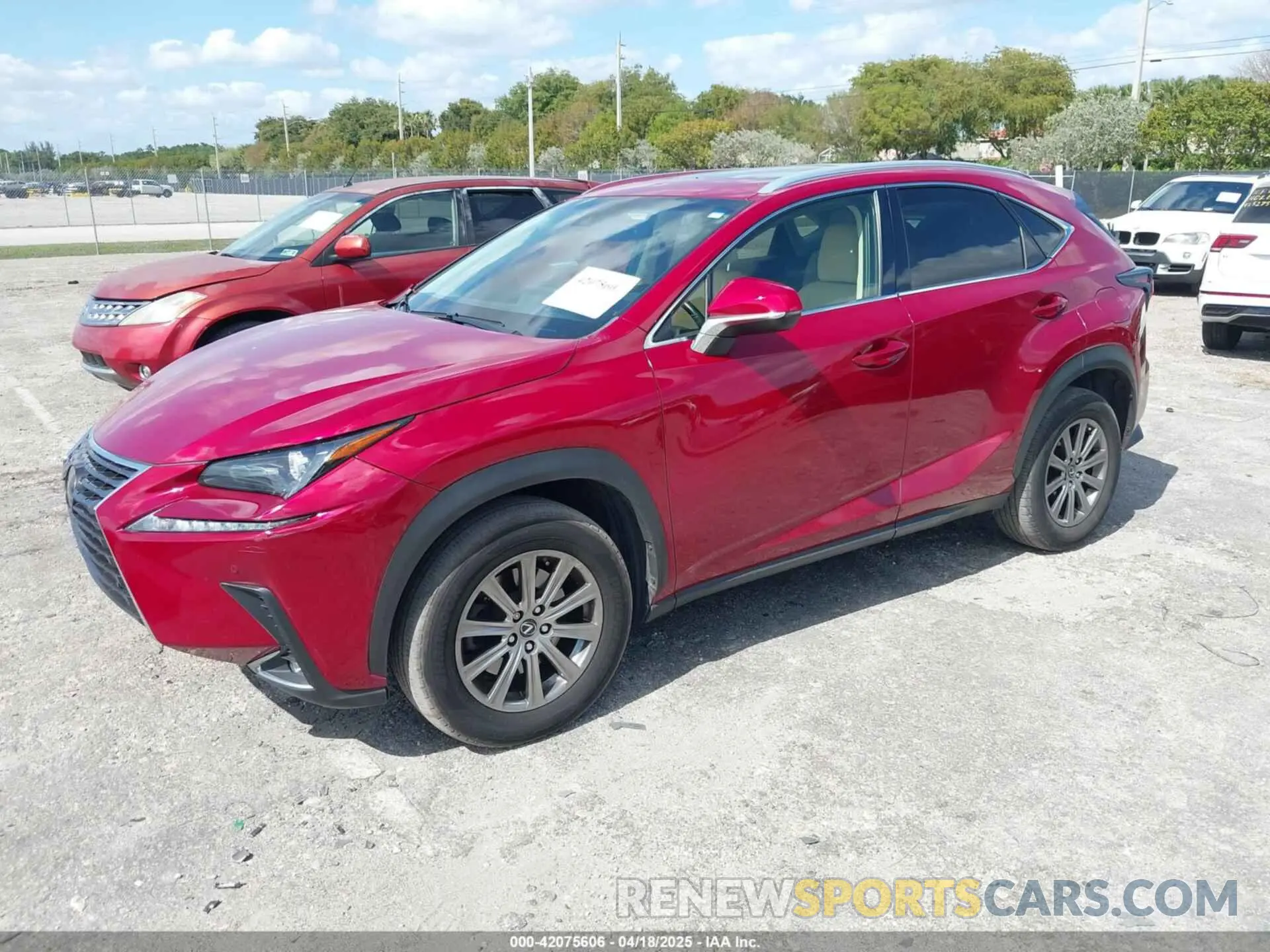 2 Photograph of a damaged car JTJYARBZ5K2128089 LEXUS NX 300 2019