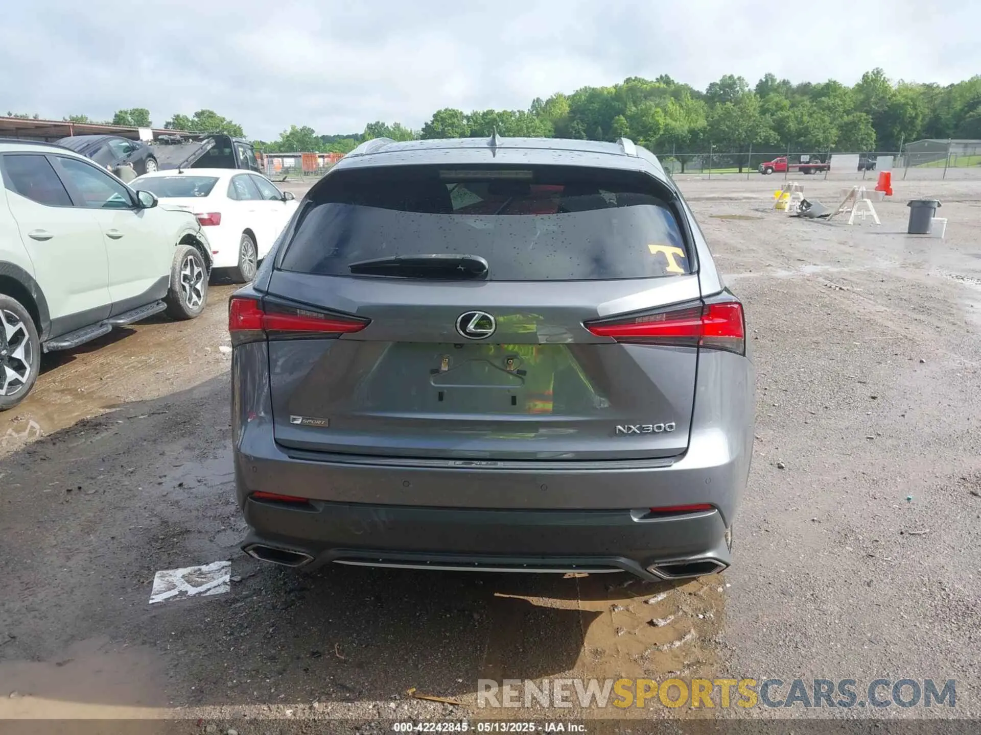 16 Photograph of a damaged car JTJYARBZ7K2141765 LEXUS NX 300 2019