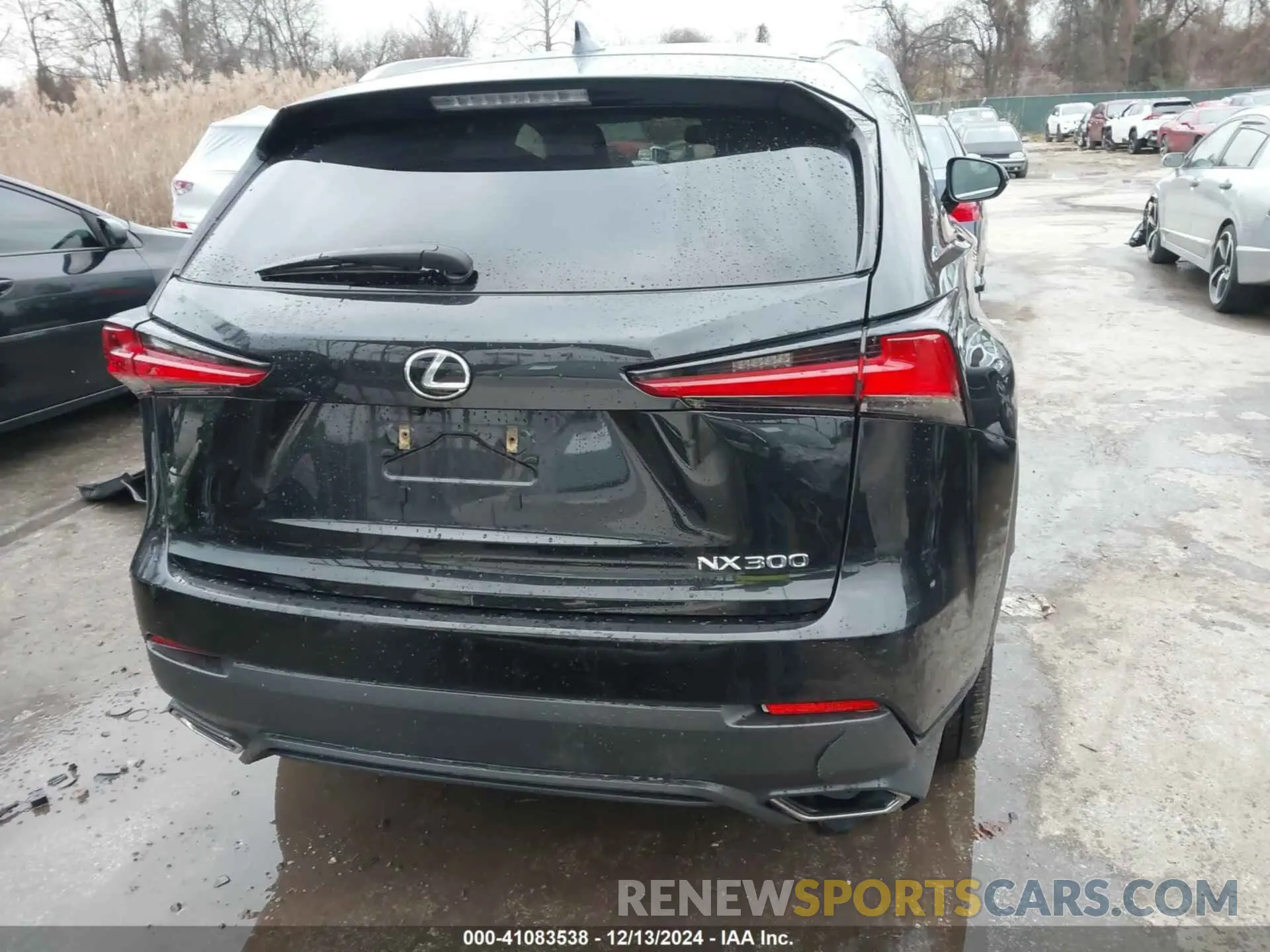 17 Photograph of a damaged car JTJYARBZ9K2119668 LEXUS NX 300 2019