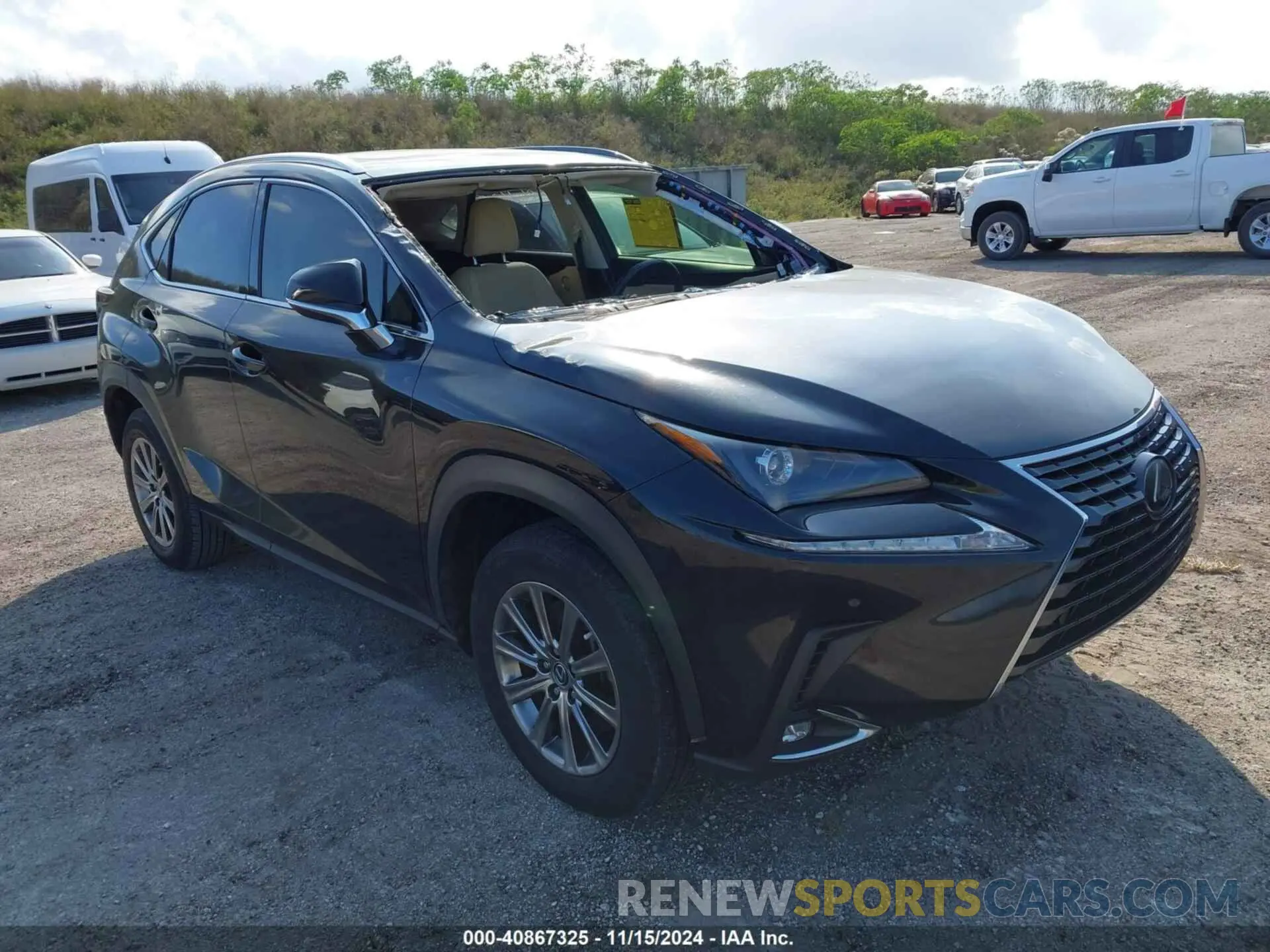 1 Photograph of a damaged car JTJYARBZ9K2139161 LEXUS NX 300 2019