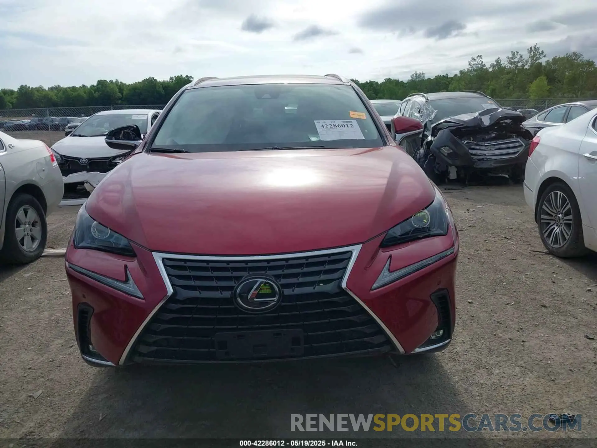 12 Photograph of a damaged car JTJGARDZ7L5013597 LEXUS NX 300 2020