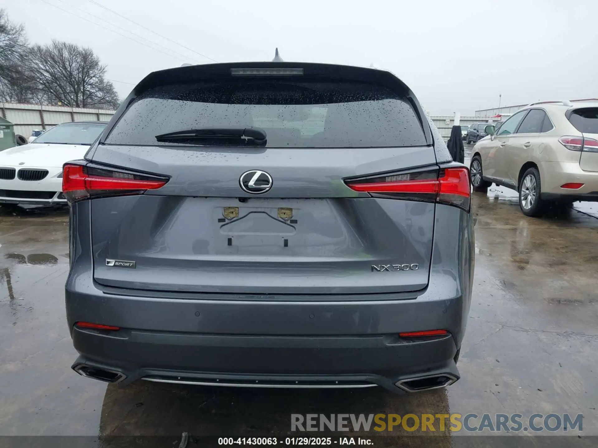17 Photograph of a damaged car JTJSARBZXL5013896 LEXUS NX 300 2020
