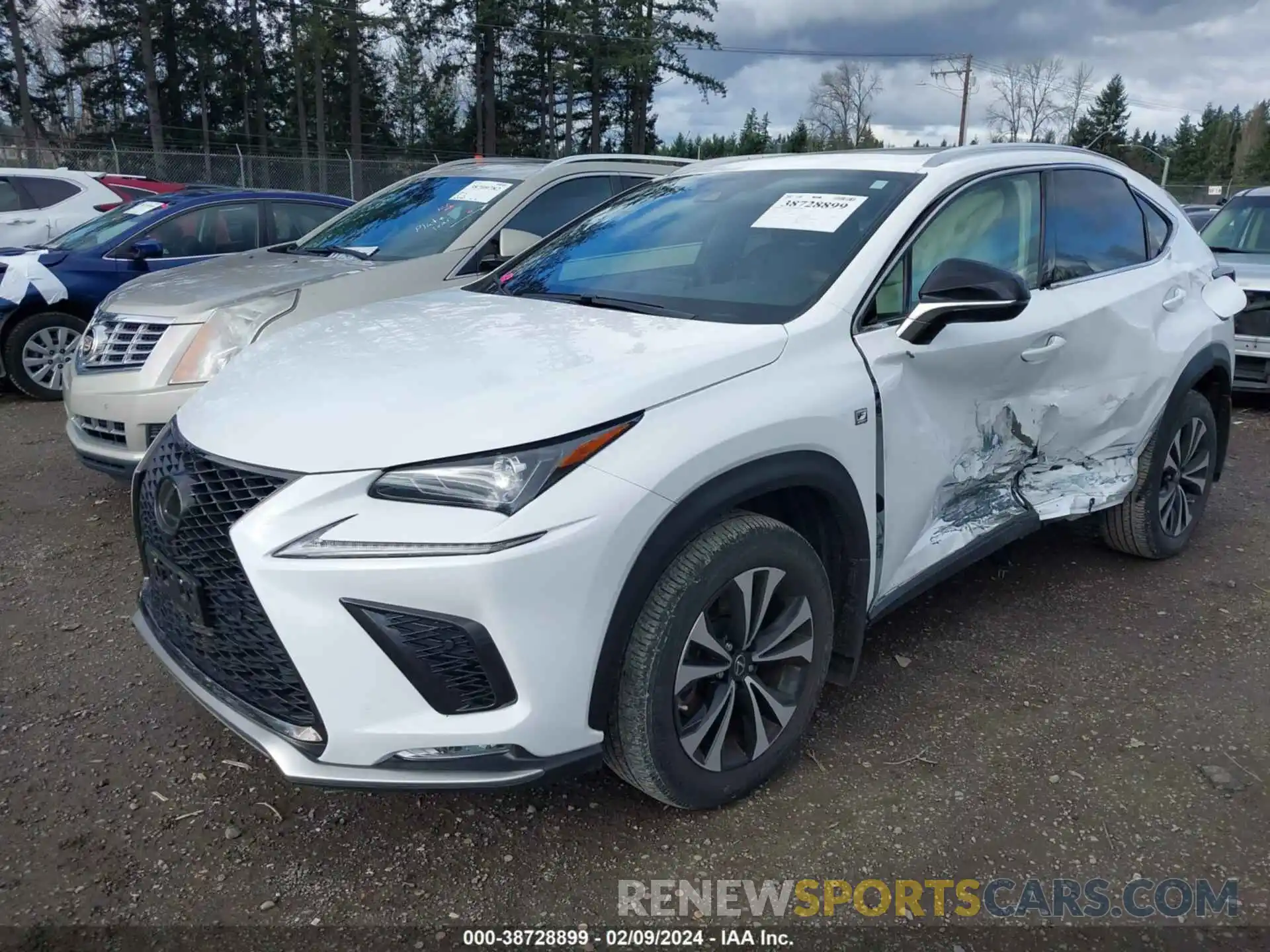 2 Photograph of a damaged car JTJSARDZ1L5001326 LEXUS NX 300 2020