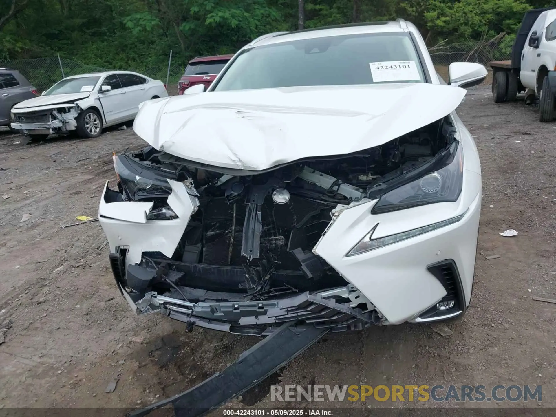 12 Photograph of a damaged car JTJDARBZ6M5035226 LEXUS NX 300 2021