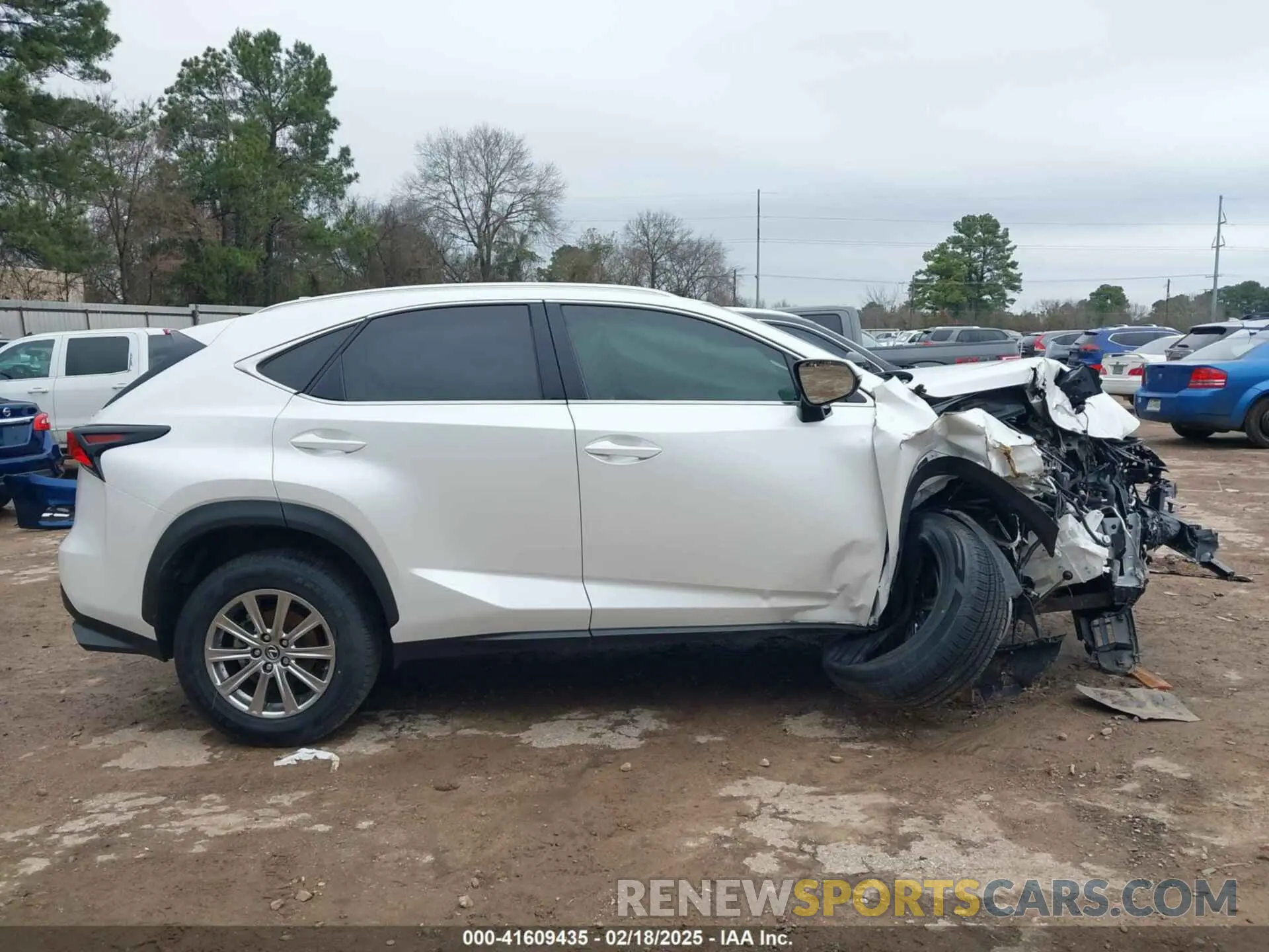13 Photograph of a damaged car JTJDARBZ8M5032120 LEXUS NX 300 2021