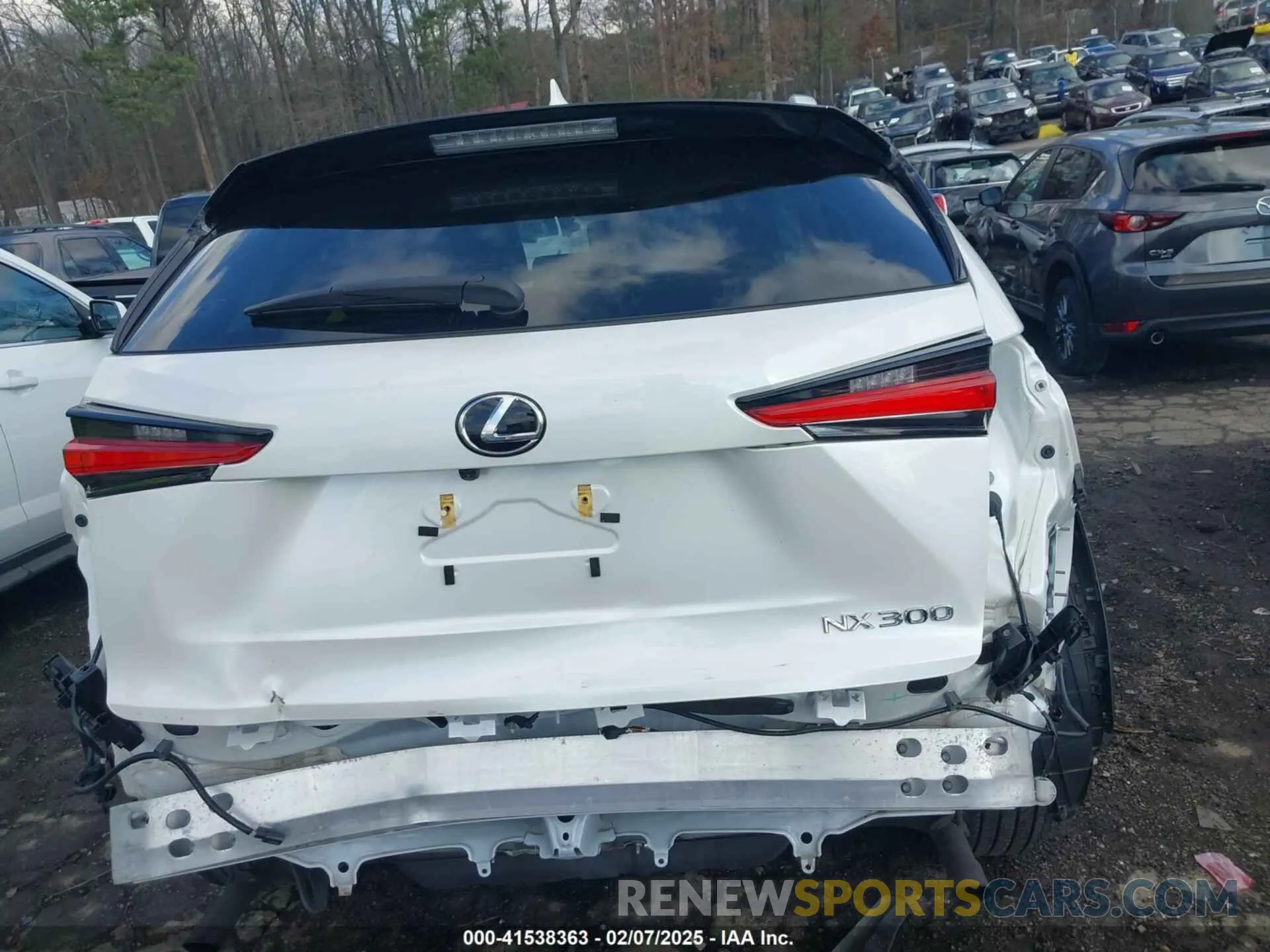 17 Photograph of a damaged car JTJDARDZ1M2251273 LEXUS NX 300 2021