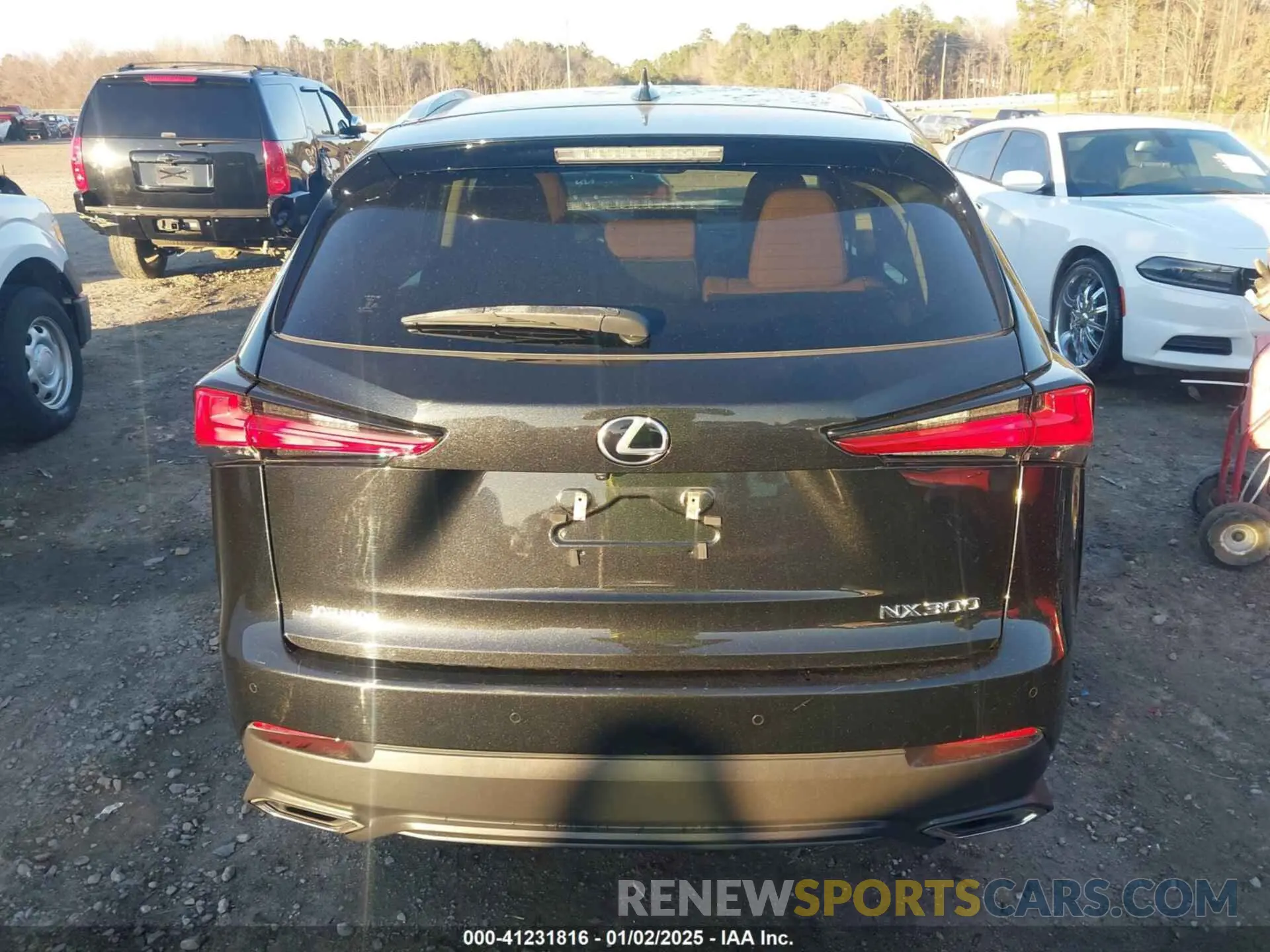 16 Photograph of a damaged car JTJGARBZ5M2183852 LEXUS NX 300 2021