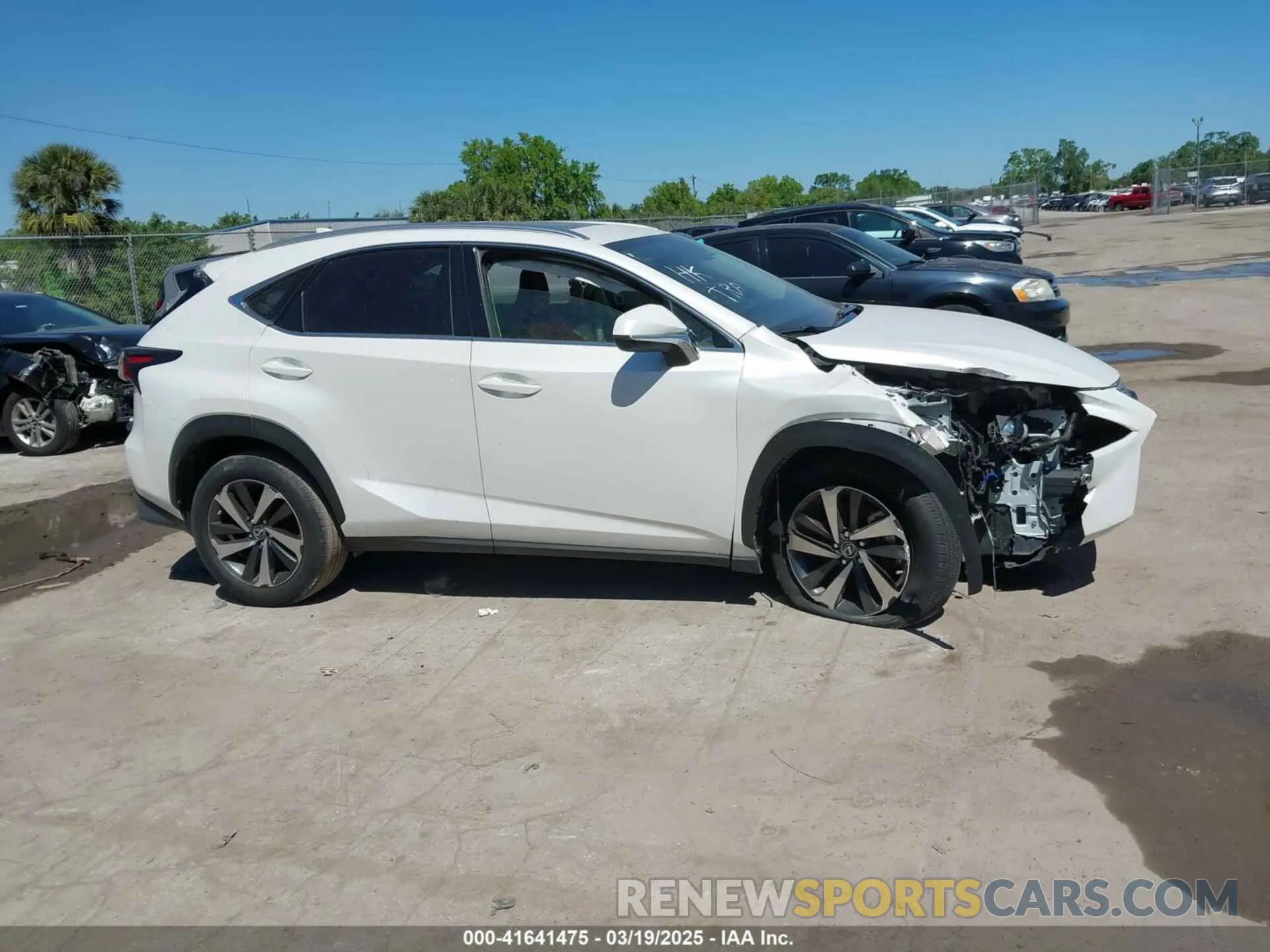 12 Photograph of a damaged car JTJGARDZ1M5024614 LEXUS NX 300 2021