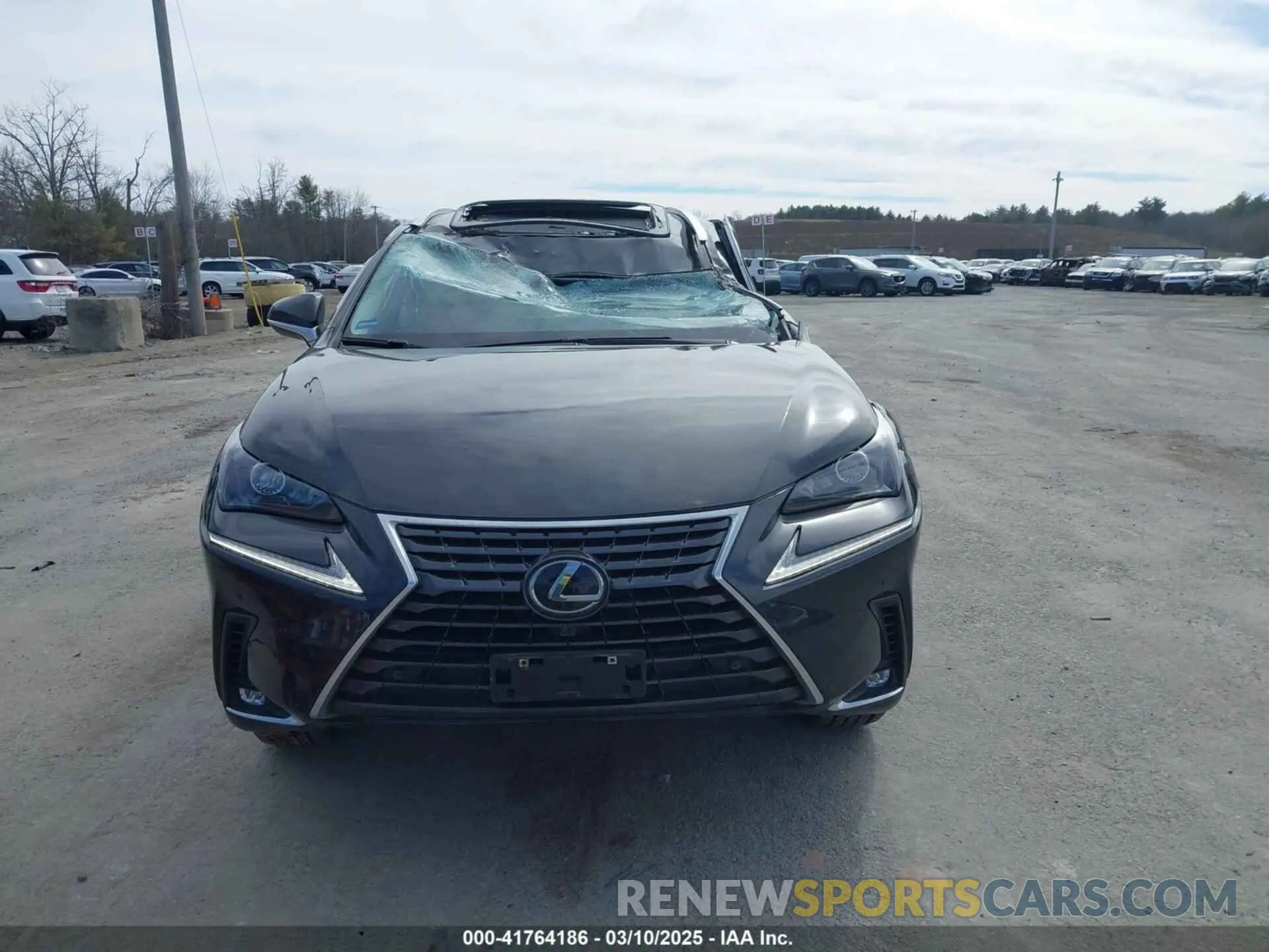 12 Photograph of a damaged car JTJGARDZ3M2252700 LEXUS NX 300 2021