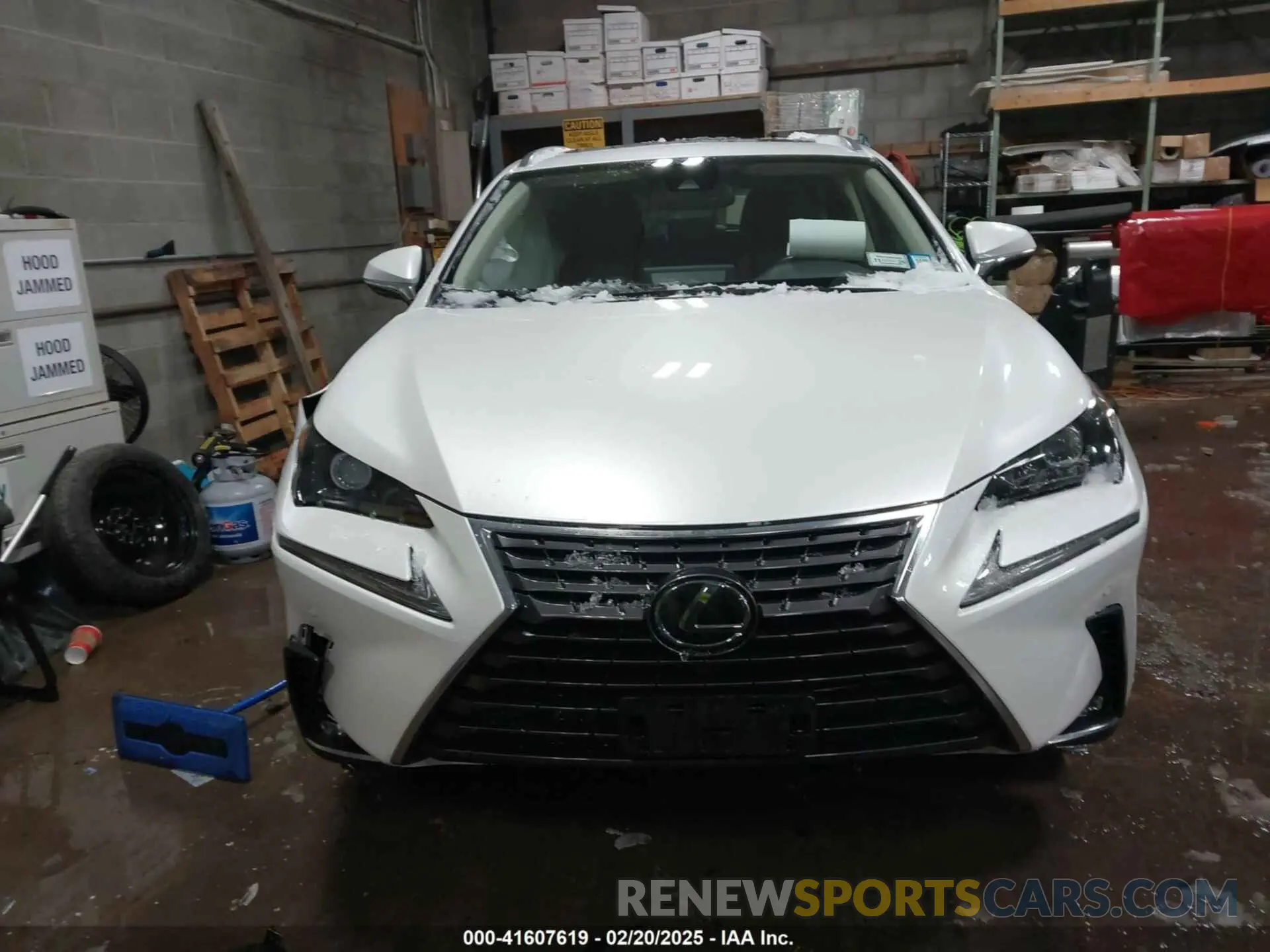 12 Photograph of a damaged car JTJGARDZ5M5022414 LEXUS NX 300 2021