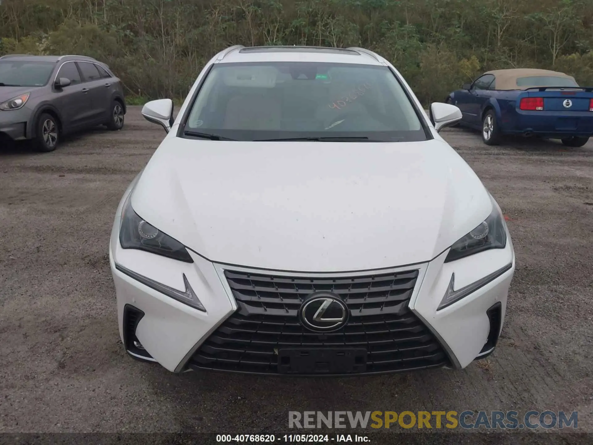6 Photograph of a damaged car JTJGARDZXM5023459 LEXUS NX 300 2021