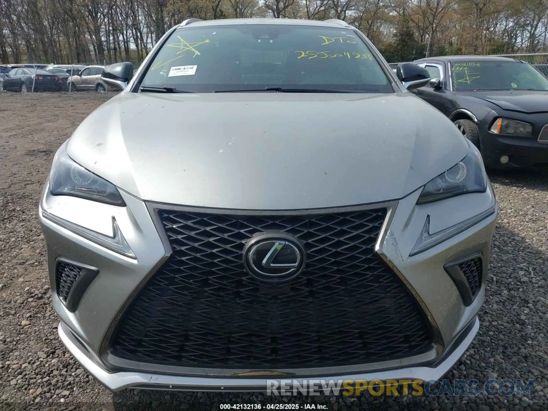 6 Photograph of a damaged car JTJSARBZ6M2198354 LEXUS NX 300 2021