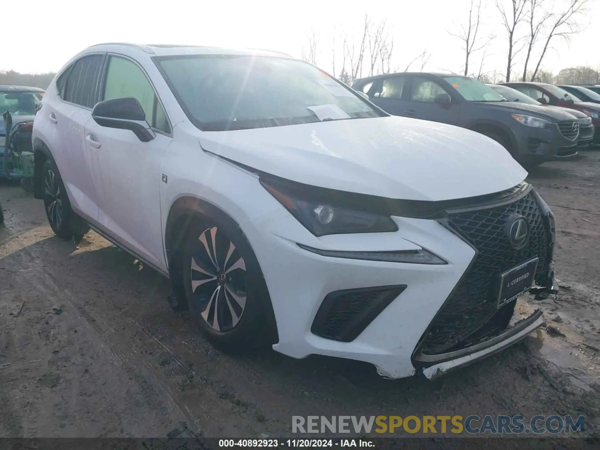 1 Photograph of a damaged car JTJSARDZ5M2239697 LEXUS NX 300 2021