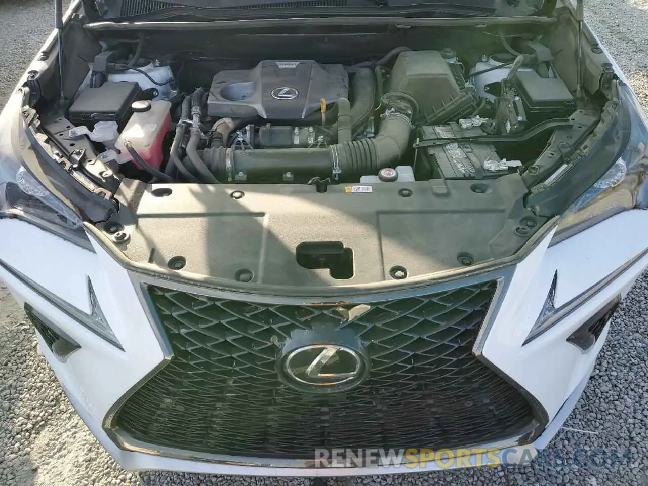 12 Photograph of a damaged car JTJSARDZXL5013409 LEXUS NX 300 F S 2020