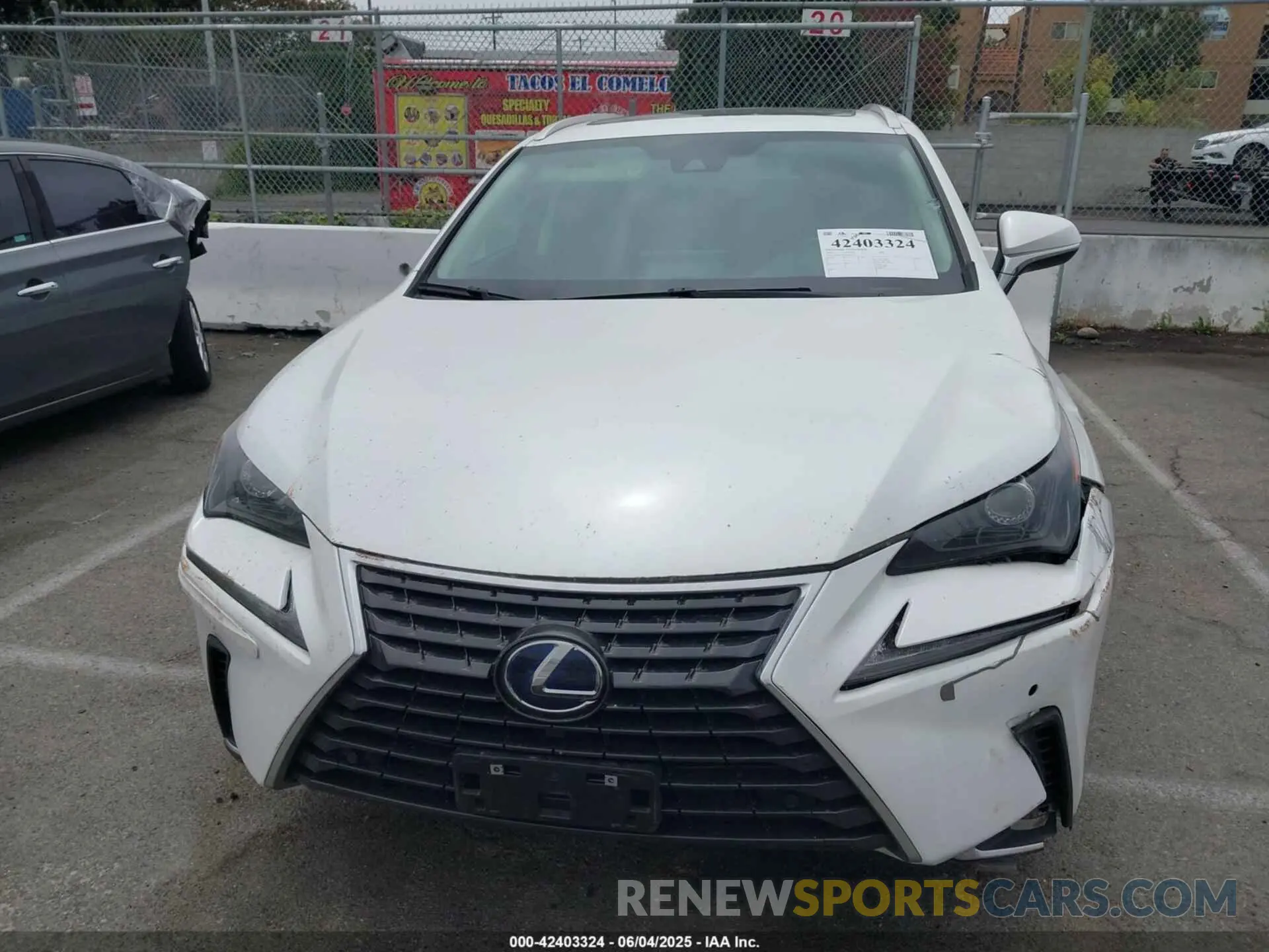12 Photograph of a damaged car JTJGJRDZ4M5013557 LEXUS NX 300H 2021