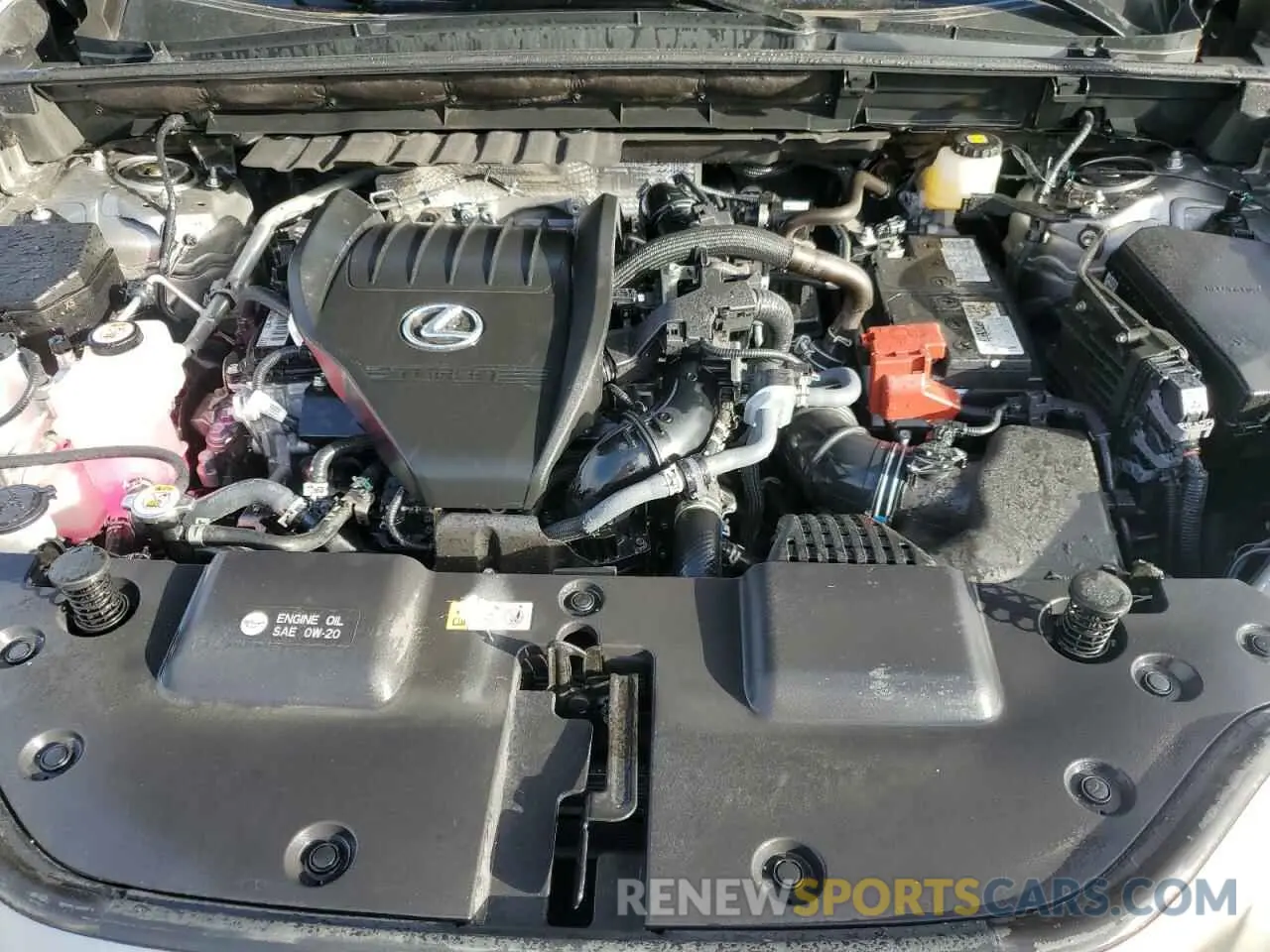 12 Photograph of a damaged car 2T2GGCEZ0NC010295 LEXUS NX 350 2022