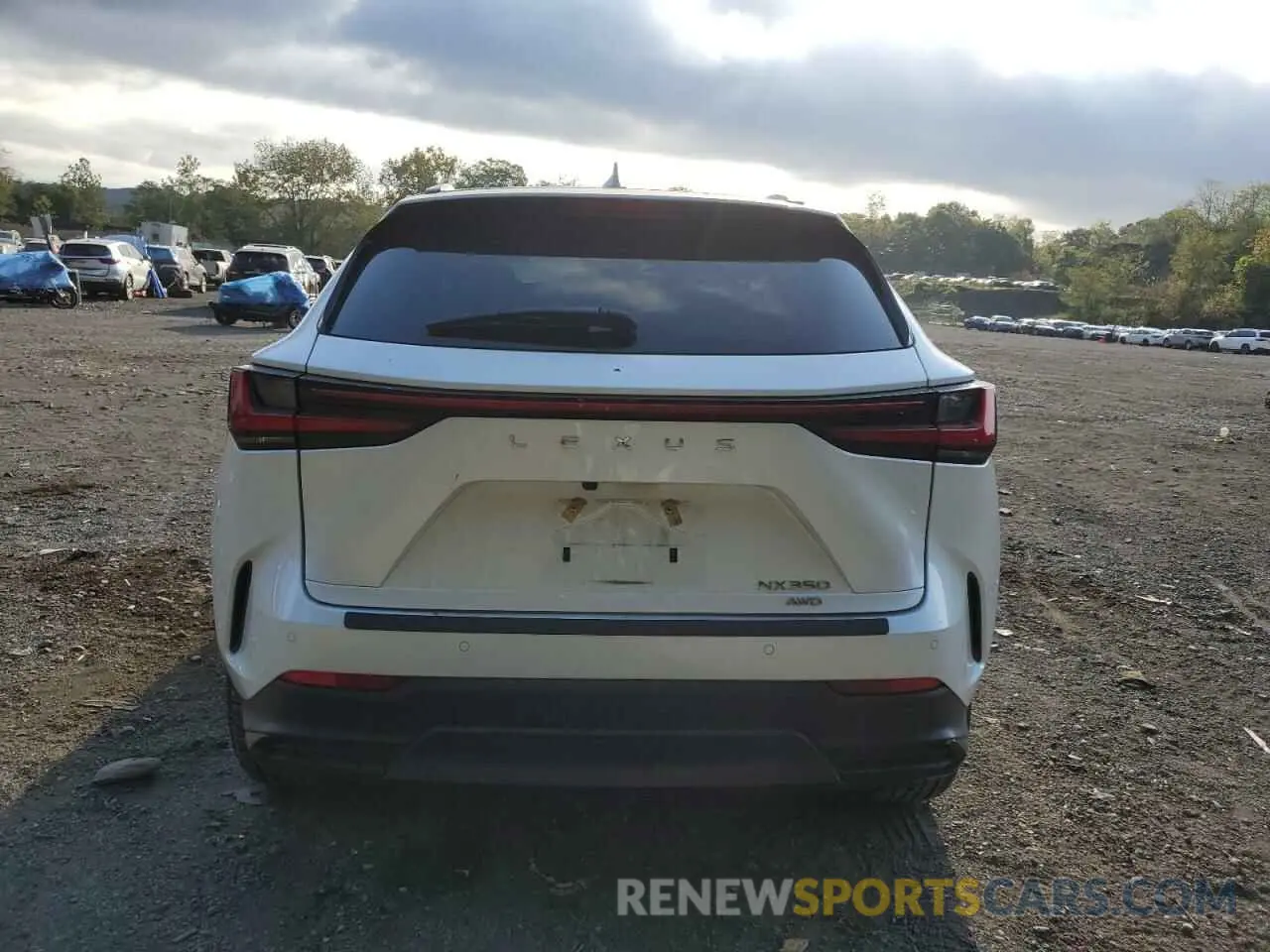 6 Photograph of a damaged car 2T2GGCEZ4NC003222 LEXUS NX 350 2022