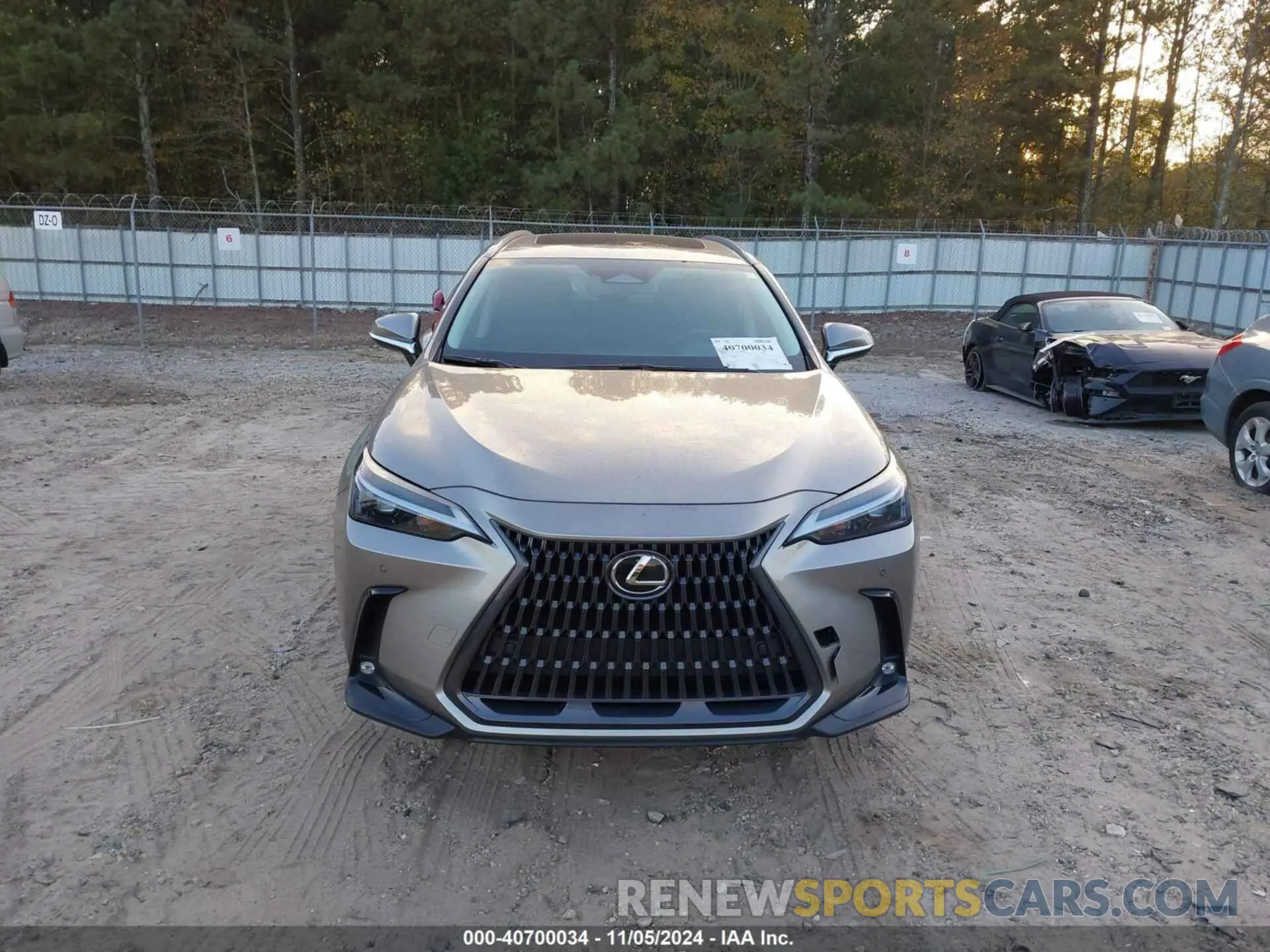 12 Photograph of a damaged car 2T2GGCEZ1PC019526 LEXUS NX 350 2023