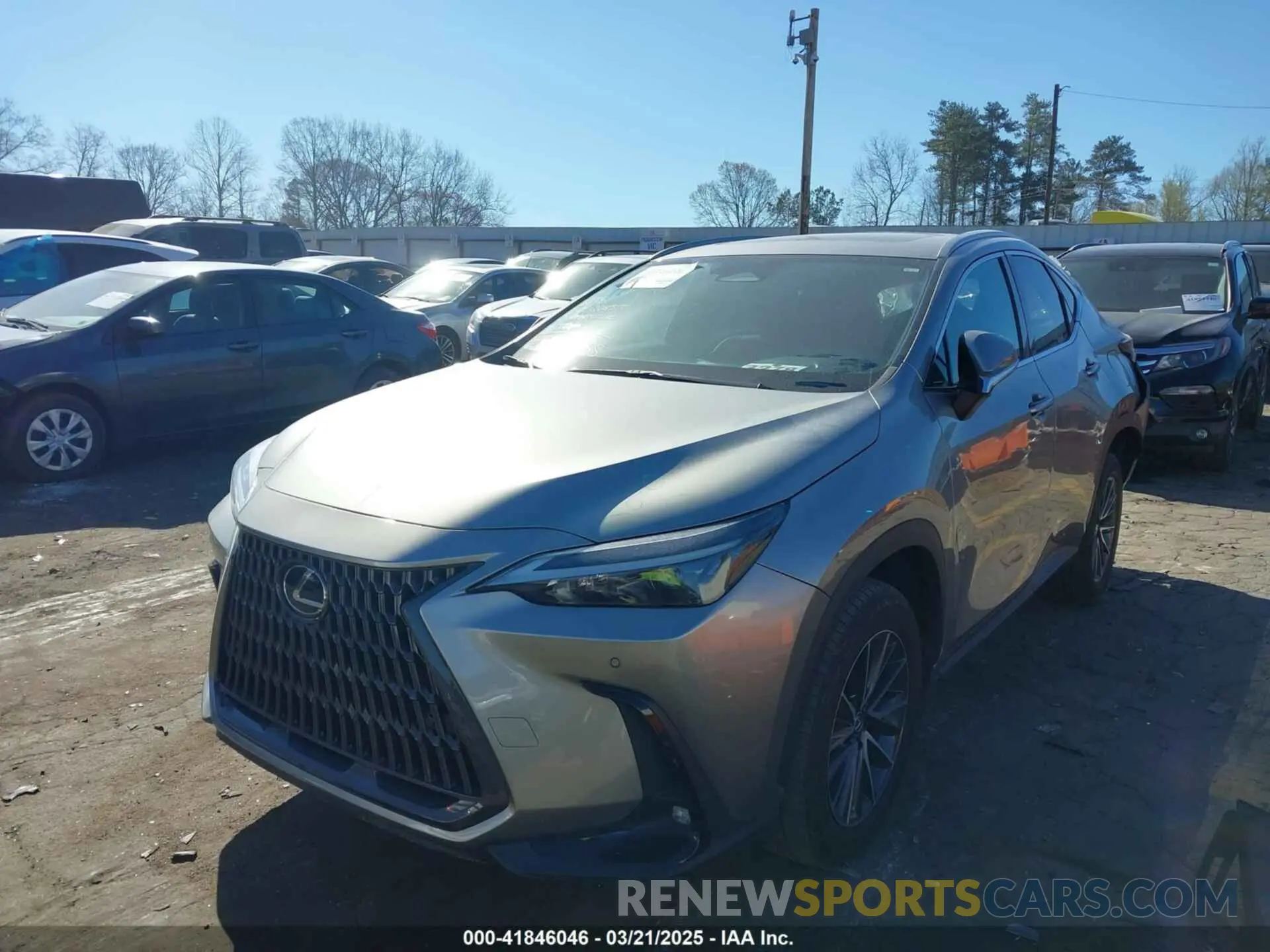 2 Photograph of a damaged car 2T2GGCEZ4PC020394 LEXUS NX 350 2023