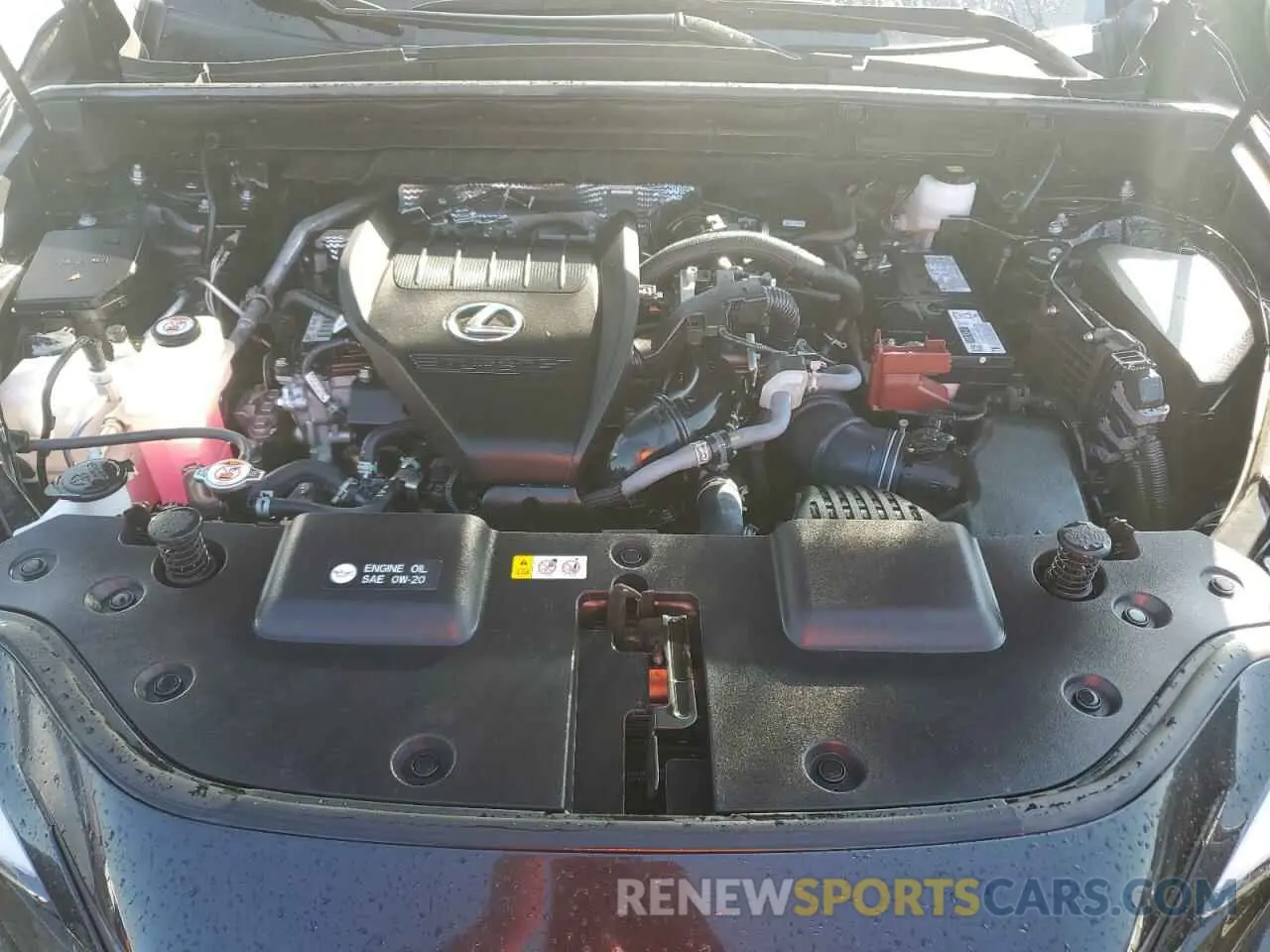 12 Photograph of a damaged car 2T2GGCEZ6PC020414 LEXUS NX 350 2023