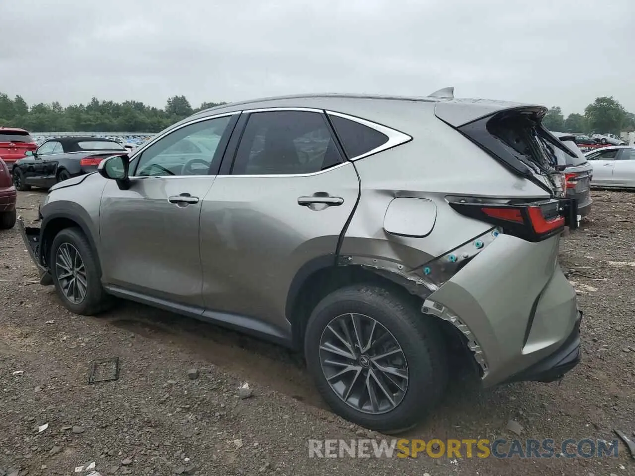 2 Photograph of a damaged car 2T2GGCEZ8PC024934 LEXUS NX 350 2023