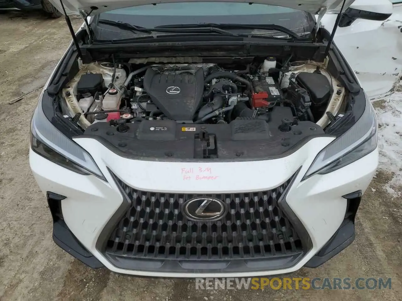 12 Photograph of a damaged car 2T2GGCEZ8PC026876 LEXUS NX 350 2023