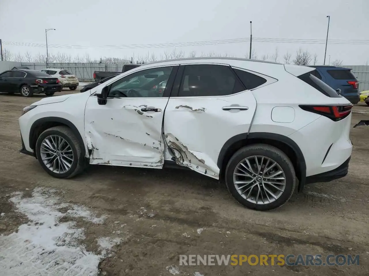 2 Photograph of a damaged car 2T2GGCEZ8PC026876 LEXUS NX 350 2023